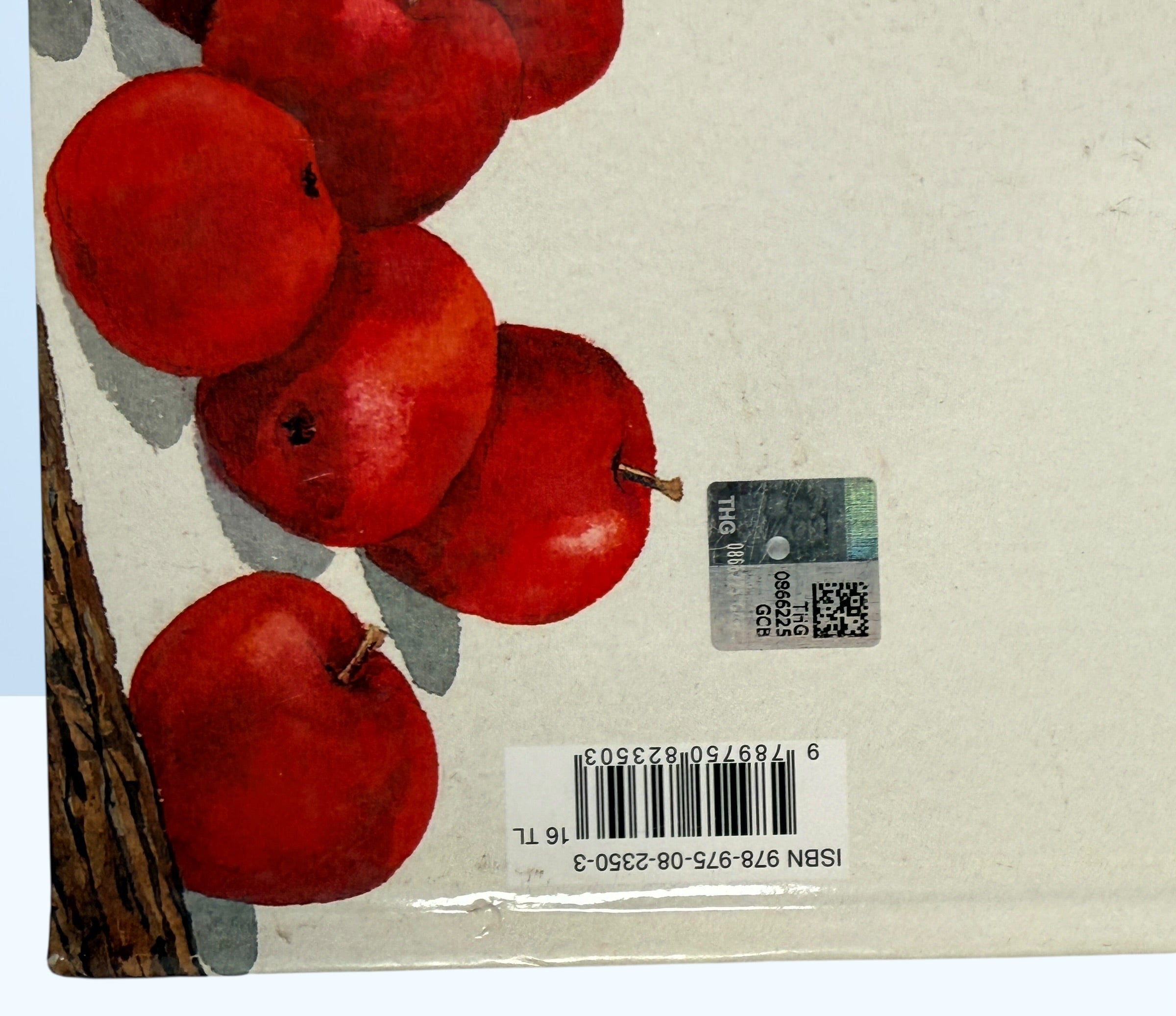 Feridun Oral illustrated Turkish children’s book Kirmizi Kanatli Baykus hardcover owl story picture book collectible kids literature Turkey