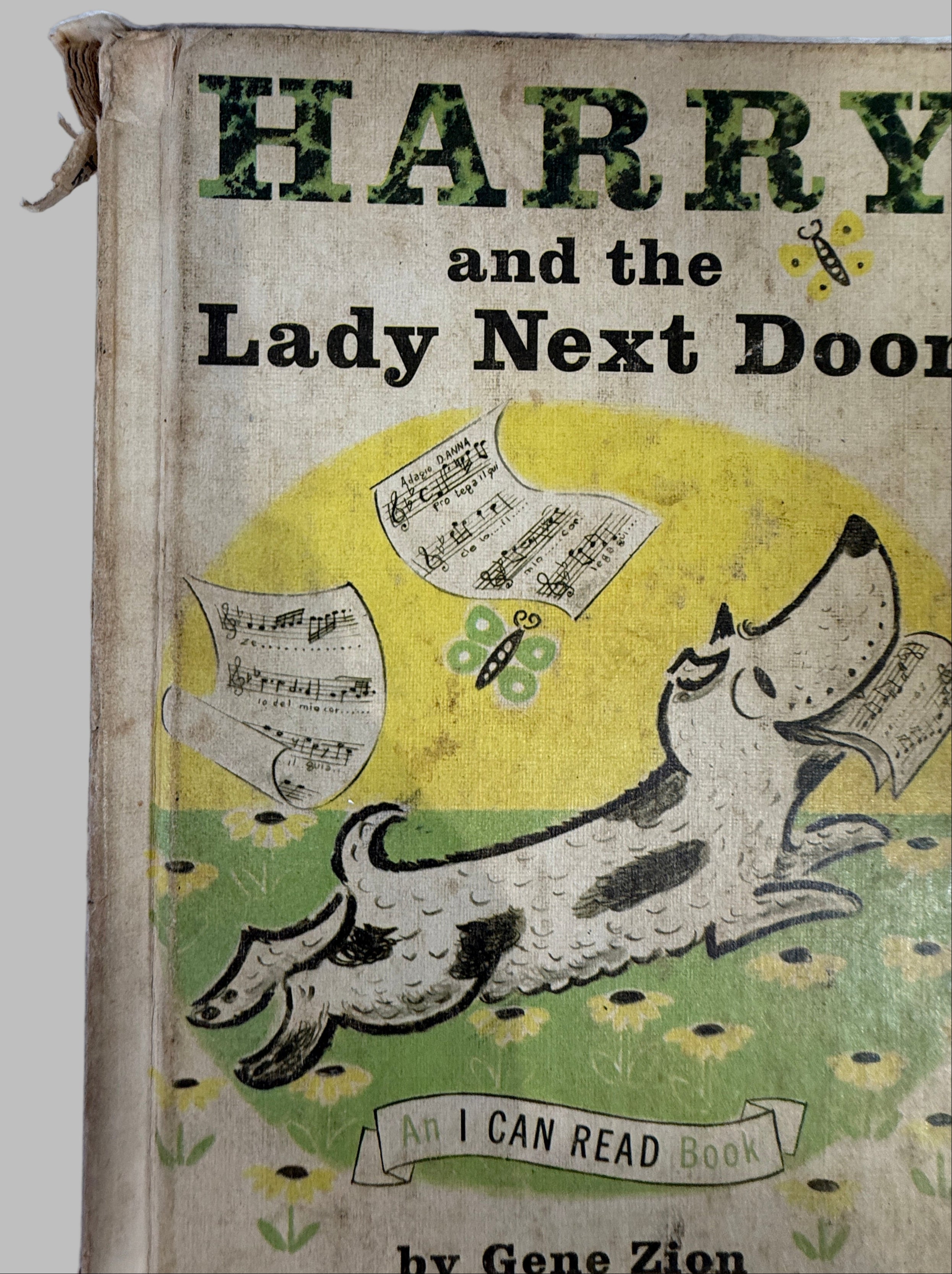 Children's book titled 'Harry and the Lady Next Door' with a cartoon illustration on the cover.