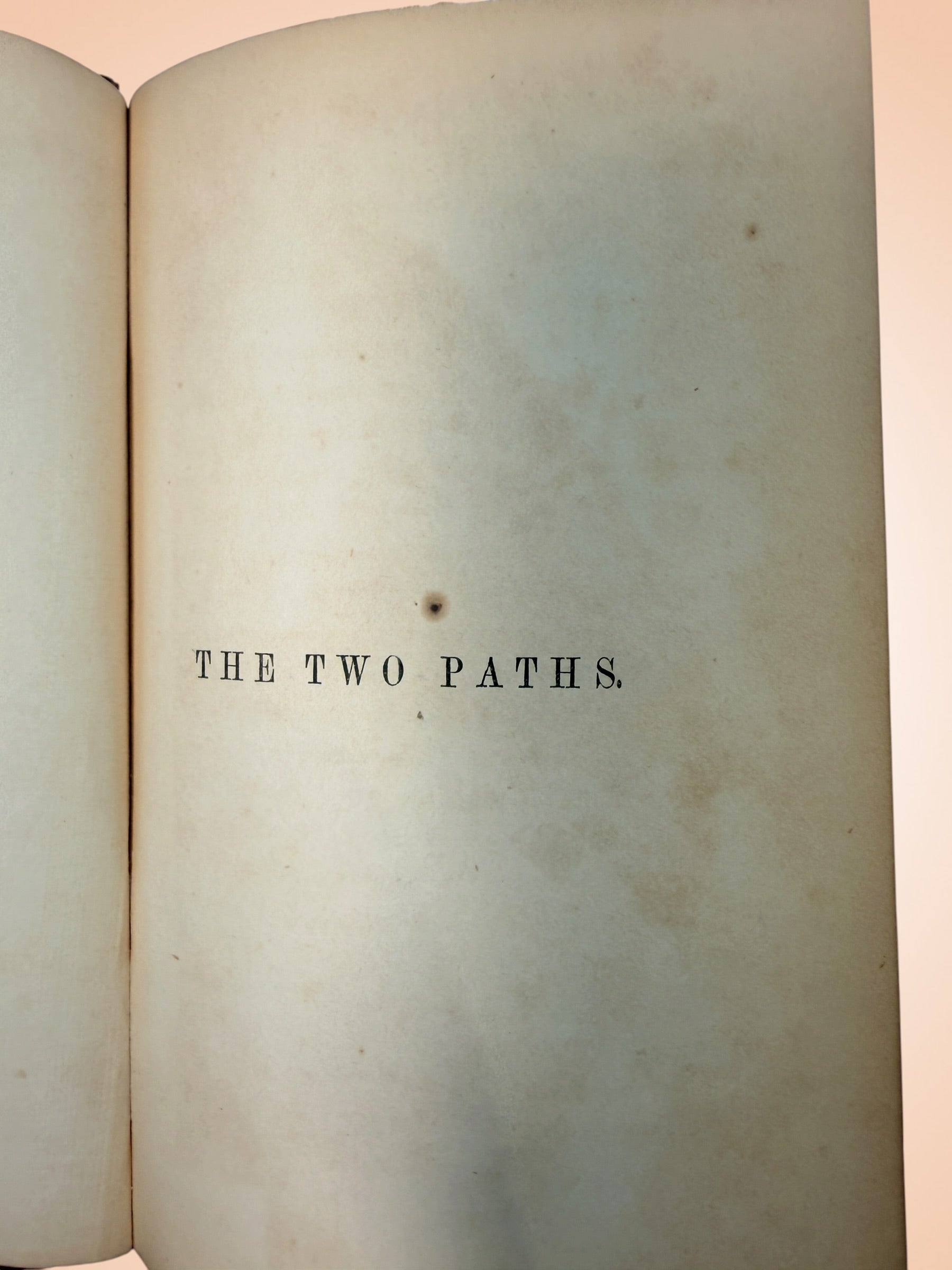 1859 first edition of John Ruskin’s The Two Paths, published by Smith, Elder &amp; Co., London. Original Victorian cloth binding with illustrated plate.