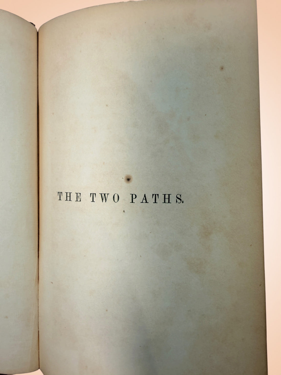 1859 first edition of John Ruskin’s The Two Paths, published by Smith, Elder &amp; Co., London. Original Victorian cloth binding with illustrated plate.