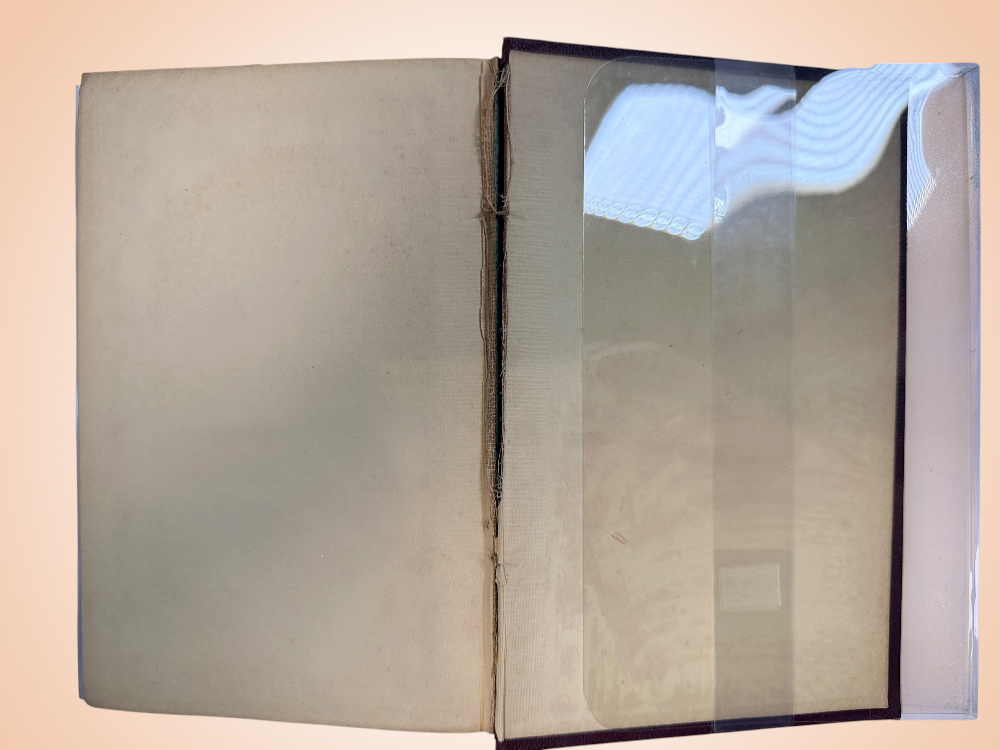 1859 first edition of John Ruskin’s The Two Paths, published by Smith, Elder &amp; Co., London. Original Victorian cloth binding with illustrated plate.