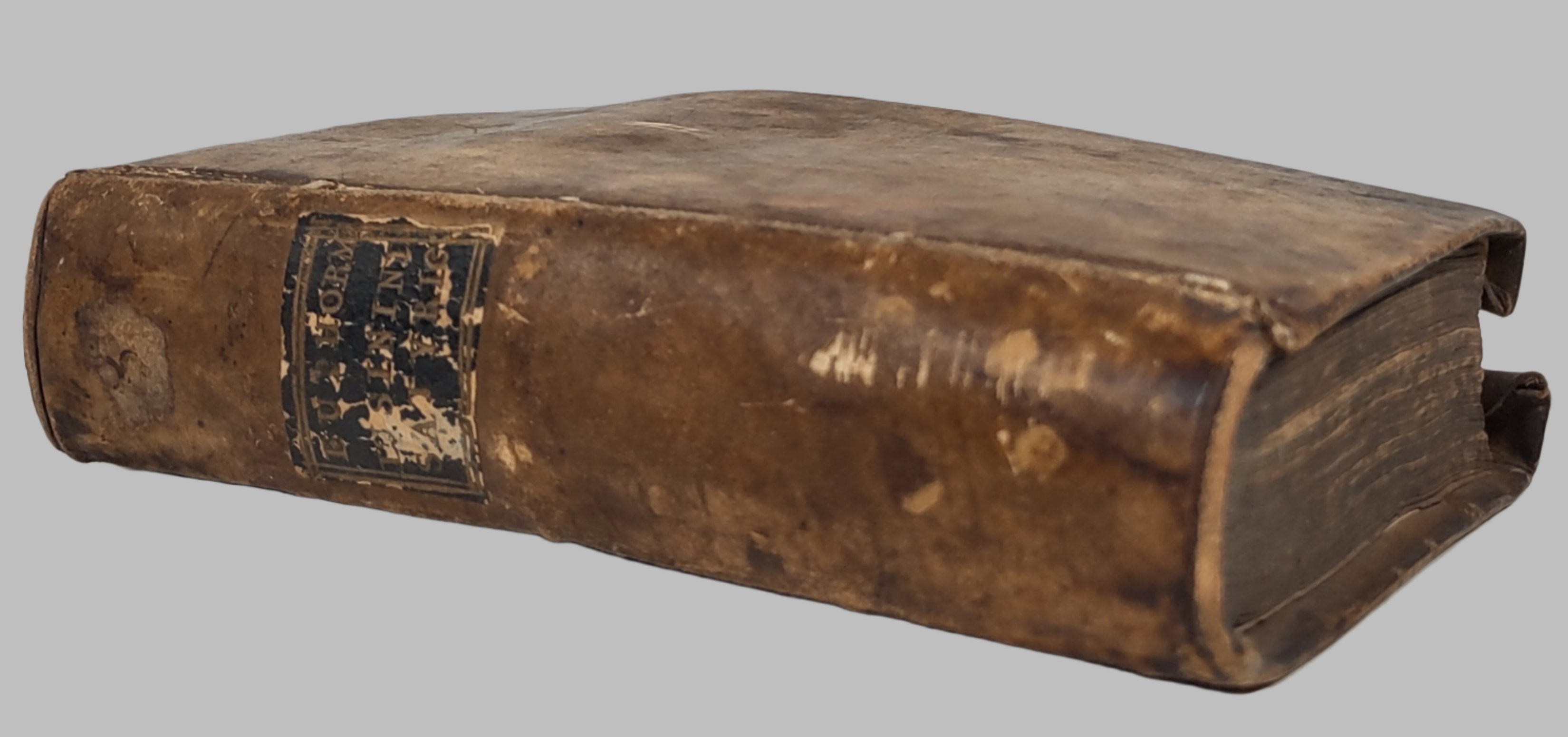 Livre ancien et rare 1619, Evphormionis Lvsinini Satyricon,