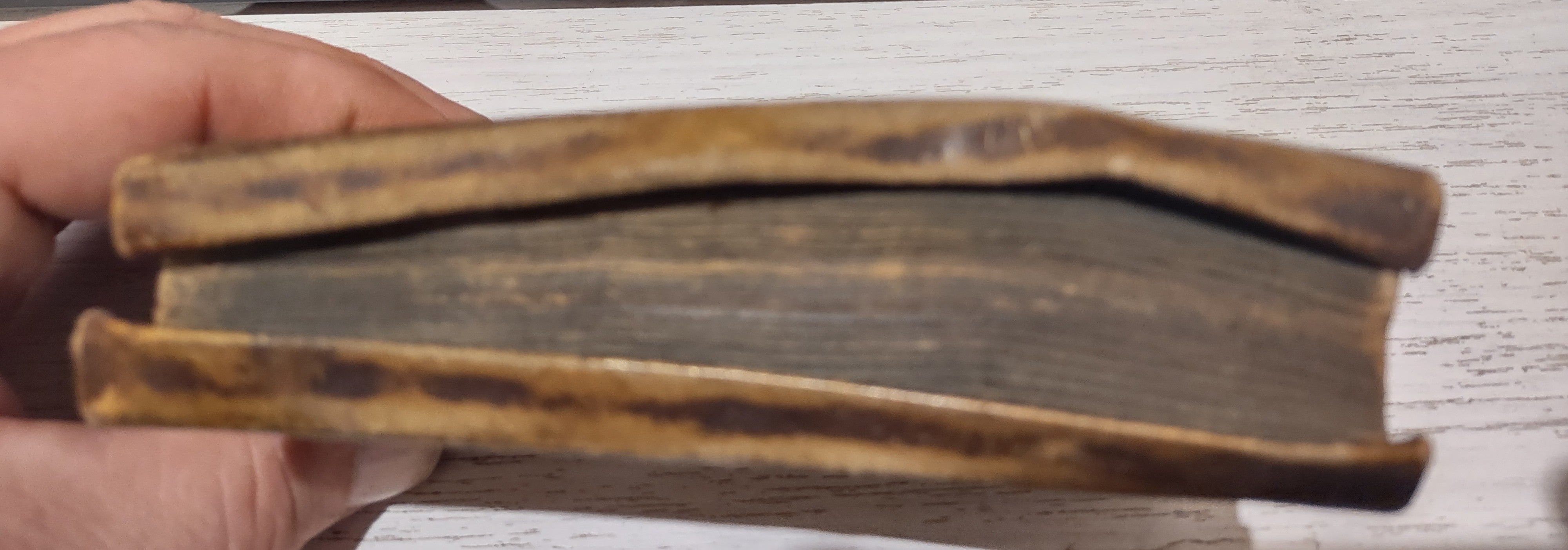 Livre ancien et rare 1619, Evphormionis Lvsinini Satyricon,