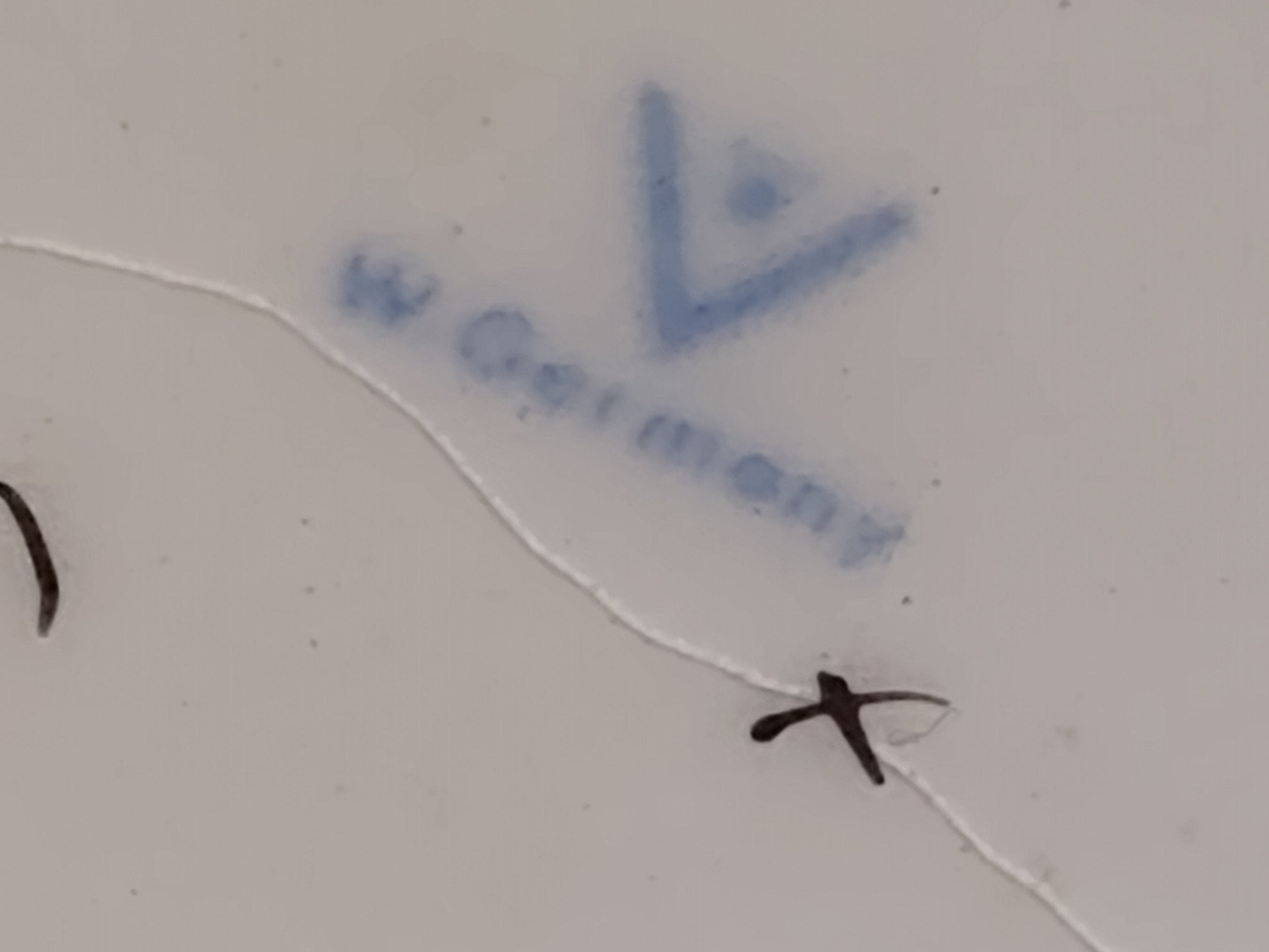 1950s Vintage Hummel Figurine, Sister,98/0  Made in West Germany