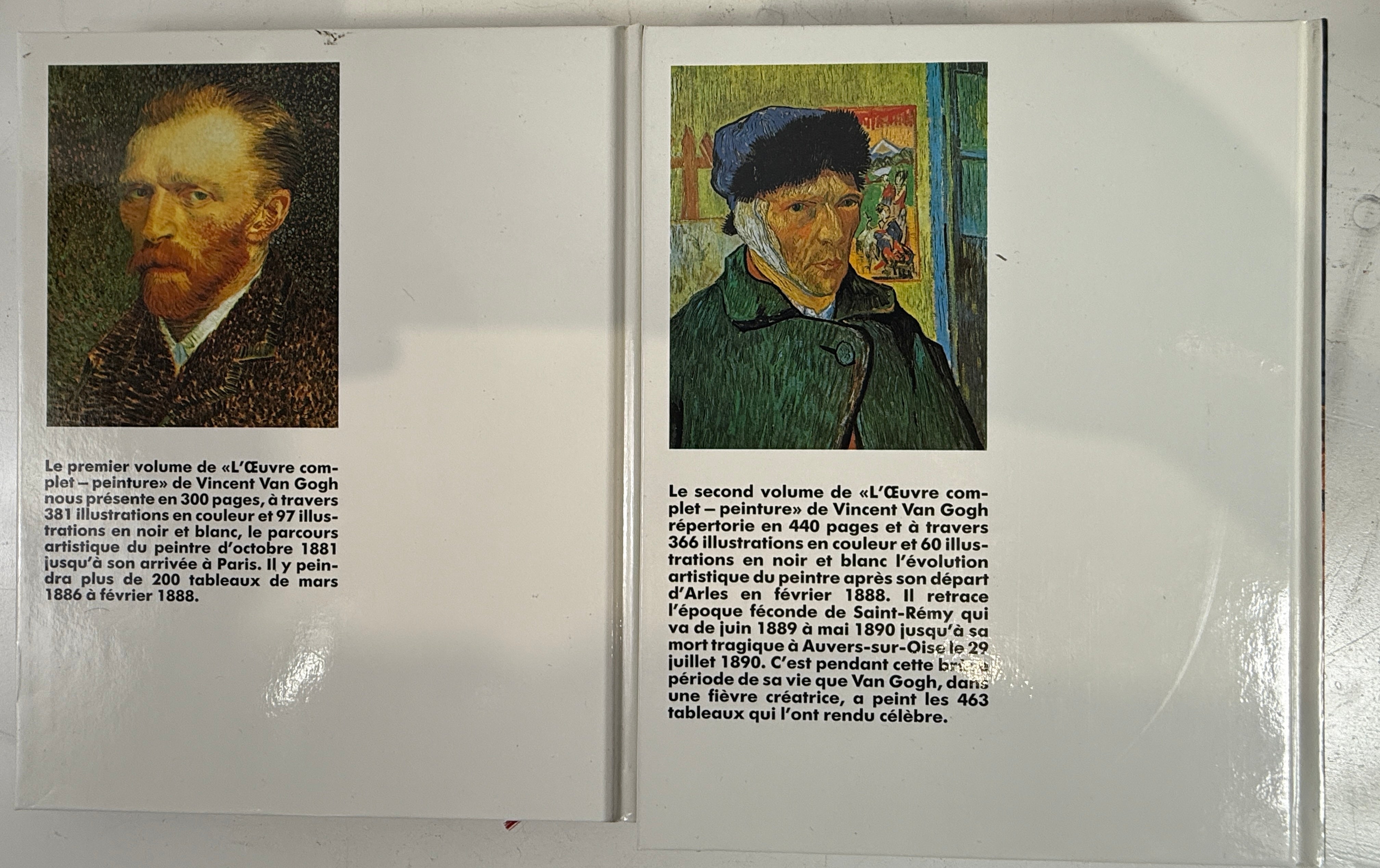 Van Gogh : L'Œuvre Complet – Peinture – Coffret 2 Volumes Reliés – Édition Française – Taschen