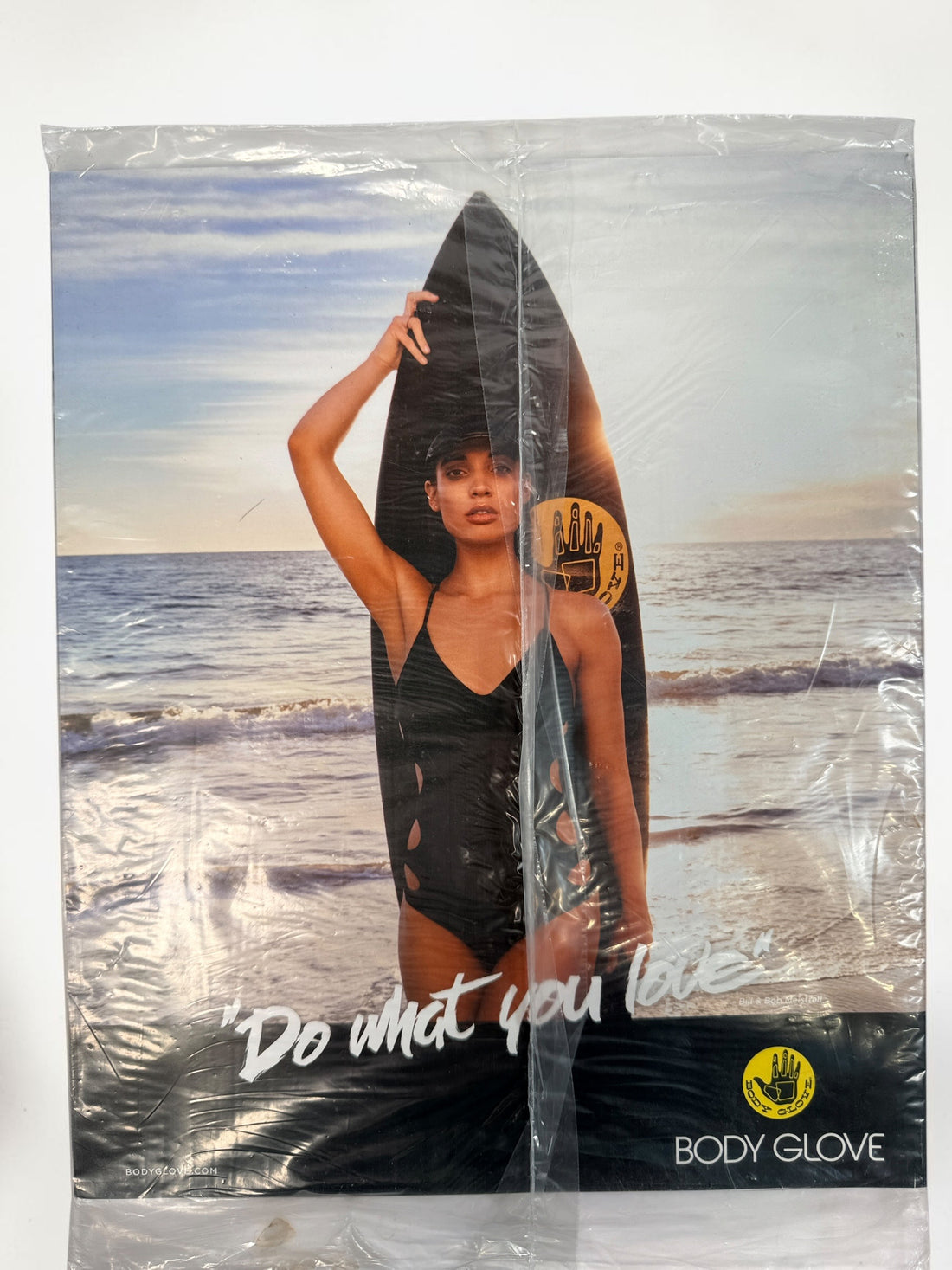 Sealed Playboy March/April 2018 The Future Issue featuring Jenny Watwood. Collectible unopened magazine with original wrapping.