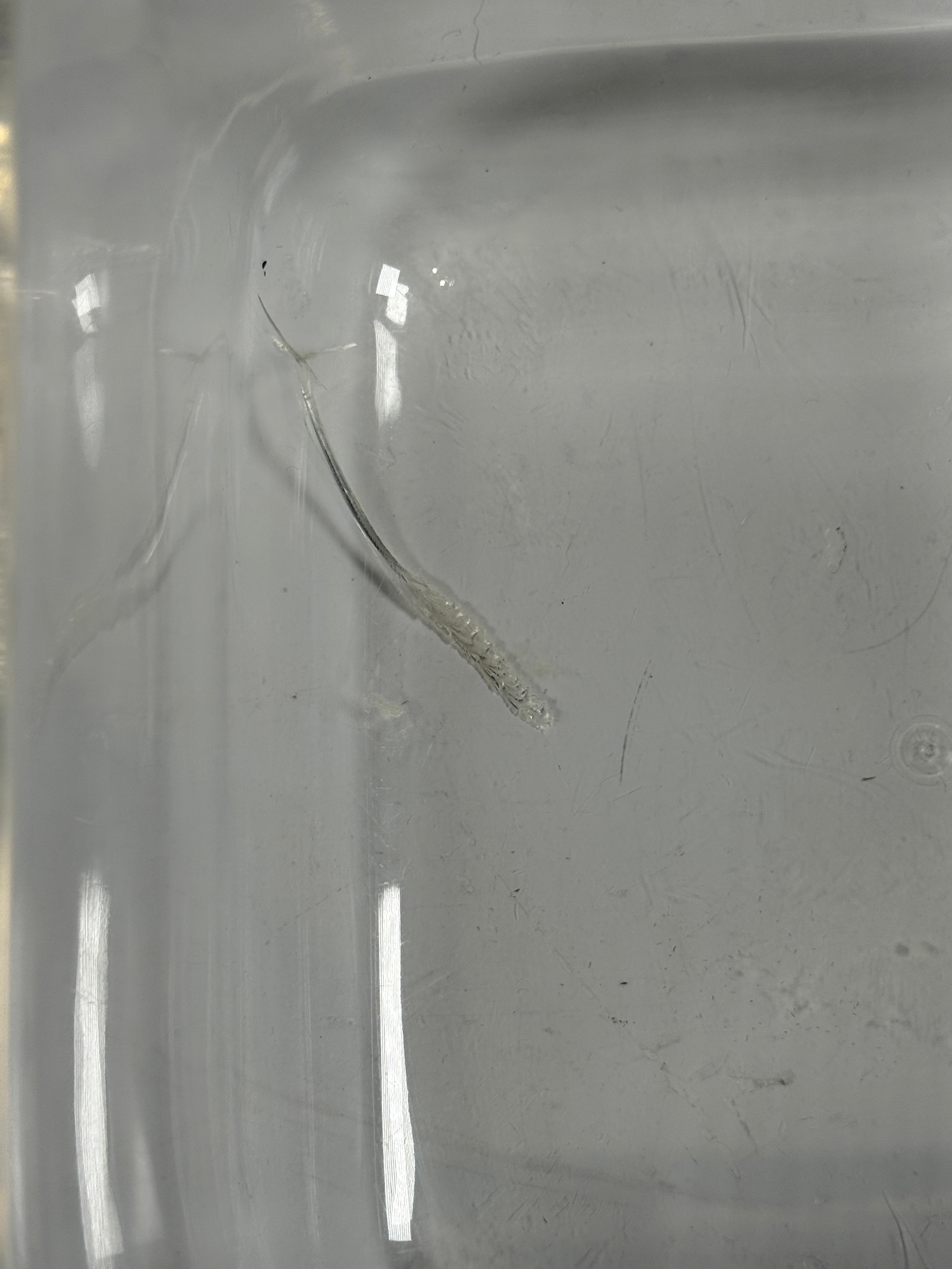 Seau à glace en Lucite Guzzini « Amanda » des années 1970 – Italie – Défaut