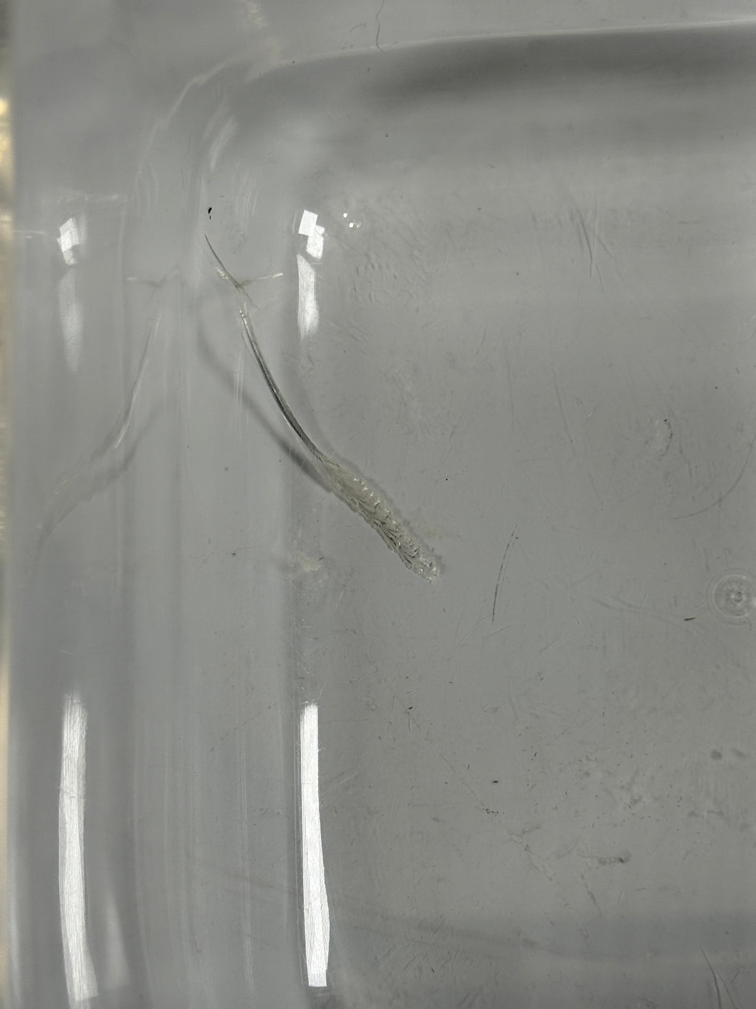 Seau à glace en Lucite Guzzini « Amanda » des années 1970 – Italie – Défaut