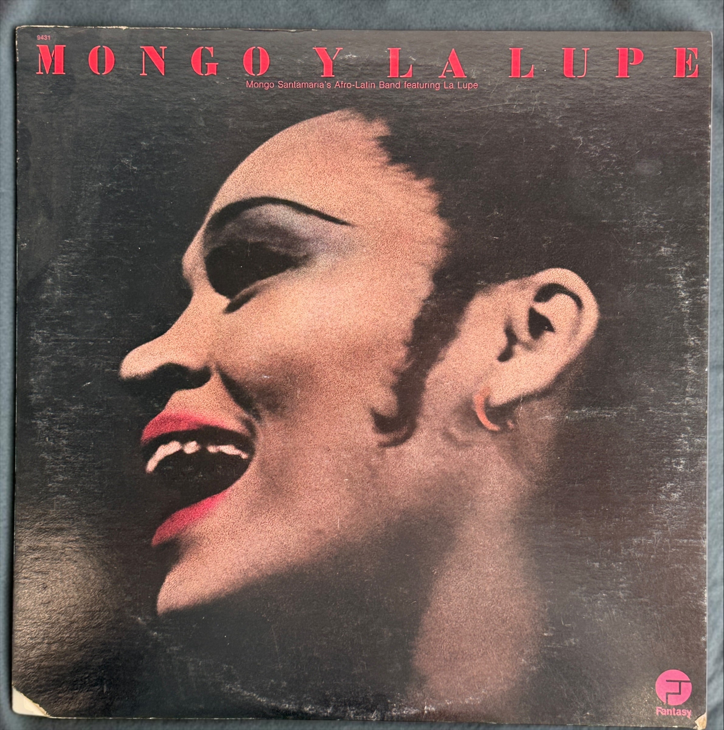 Discover Mongo y La Lupe, a 1973 pressing featuring Mongo Santamaria’s Afro-Latin Band and La Lupe. Vibrant Latin jazz and Afro-Cuban rhythms on vintage vinyl.
