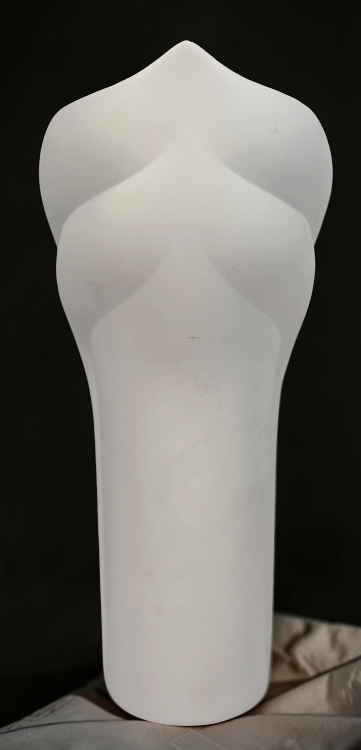 Vintage Rosenthal Studio-Linie German bisque porcelain vase with sculptural leaf relief and matte white modernist design, likely dating to the 1970s