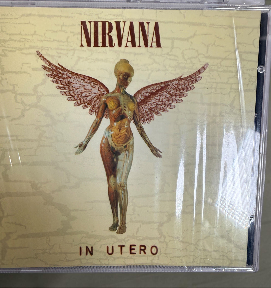 Shop this Nirvana 7-CD collection featuring Nevermind, Bleach, In Utero, MTV Unplugged and more. Classic grunge and alternative rock at Eco Depot Montreal.