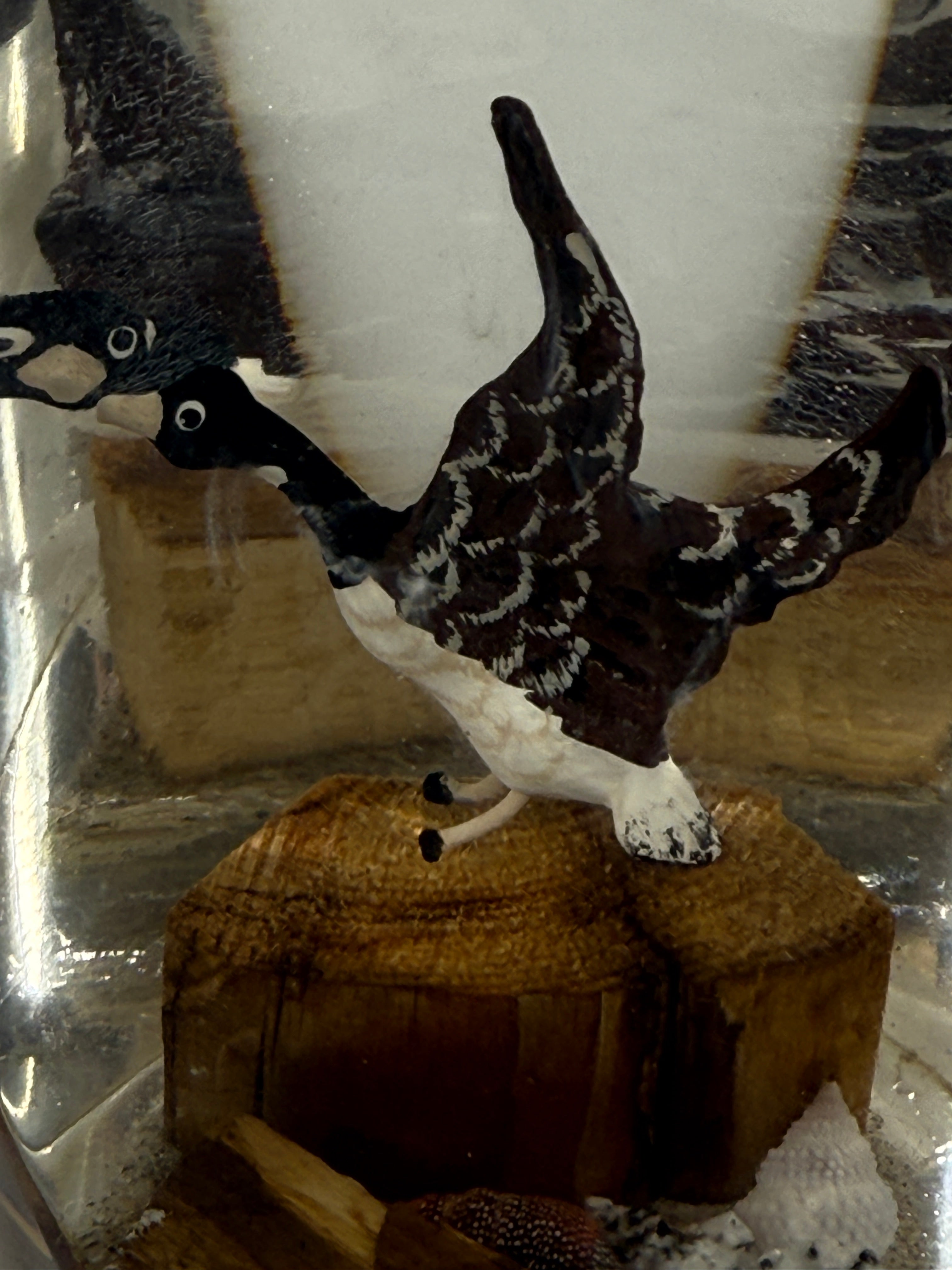 Presse-papier en résine, scène d'oiseaux nautiques en Lucite du milieu du siècle