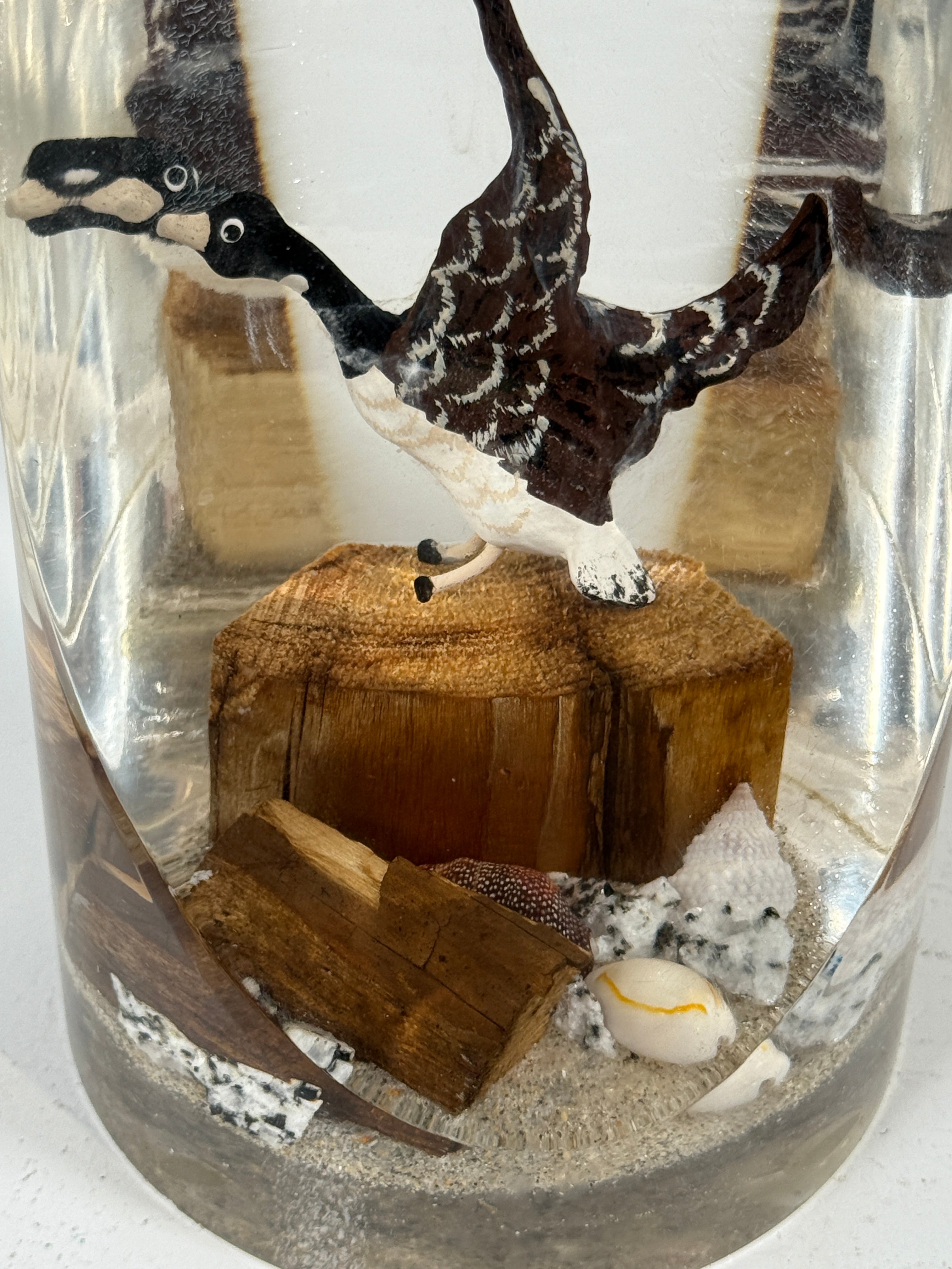 Presse-papier en résine, scène d'oiseaux nautiques en Lucite du milieu du siècle