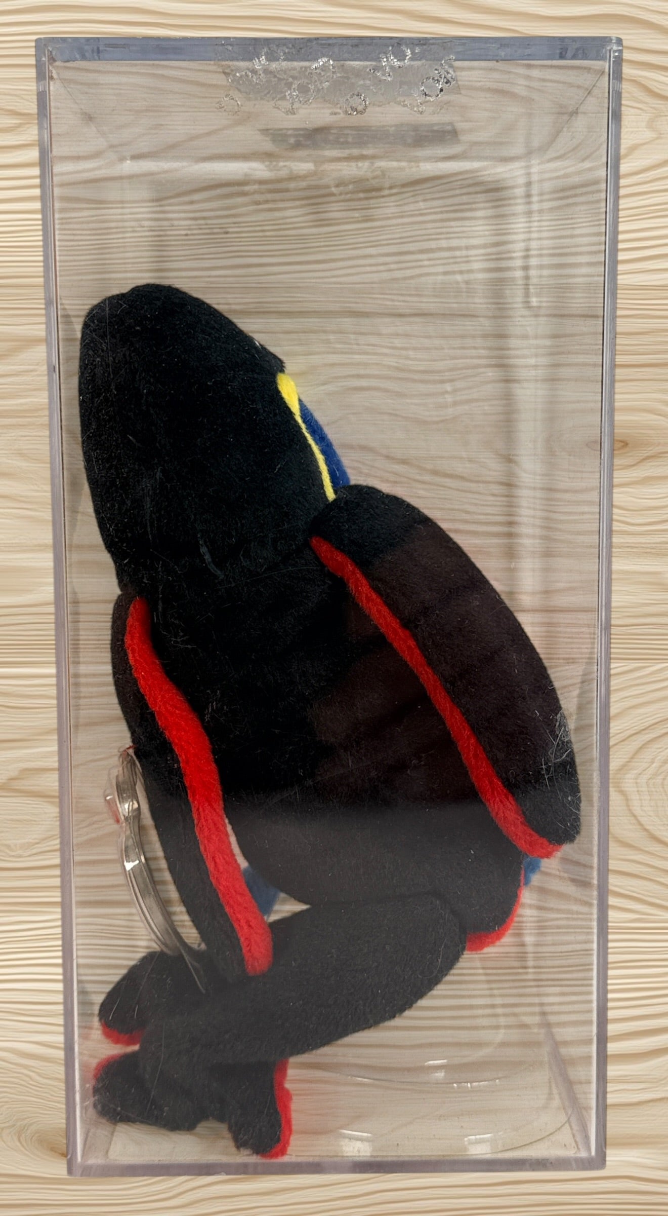 Authentic Ty Beanie Baby Kiwi Toucan with 4th generation swing tag, 3rd generation tush tag, display case and Becky’s True Blue Beans authentication certificate.