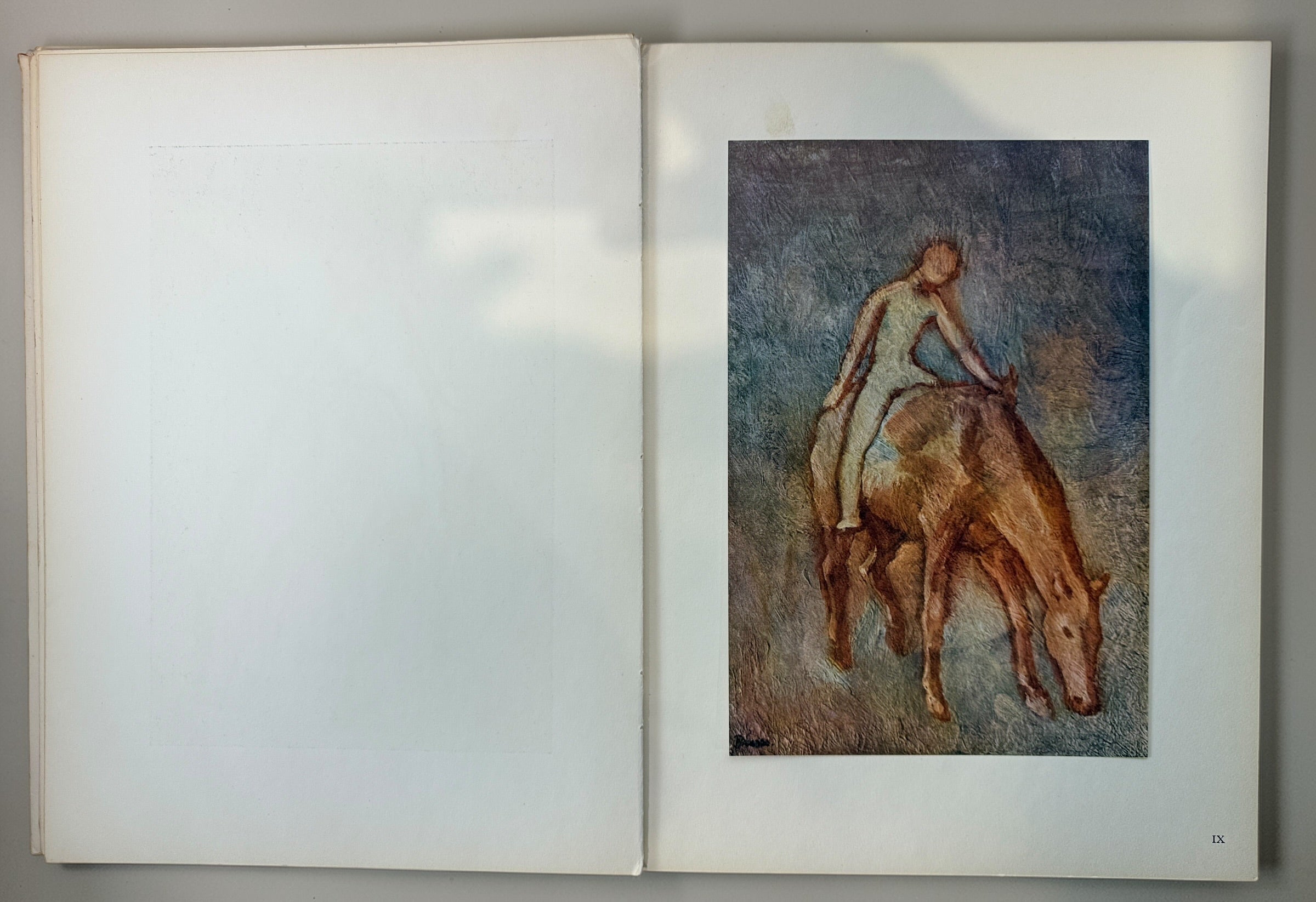 1955 Picasso art book with Blue and Rose period plates. French edition from Éditions du Chêne. Vintage decorative art book with full-page reproductions.