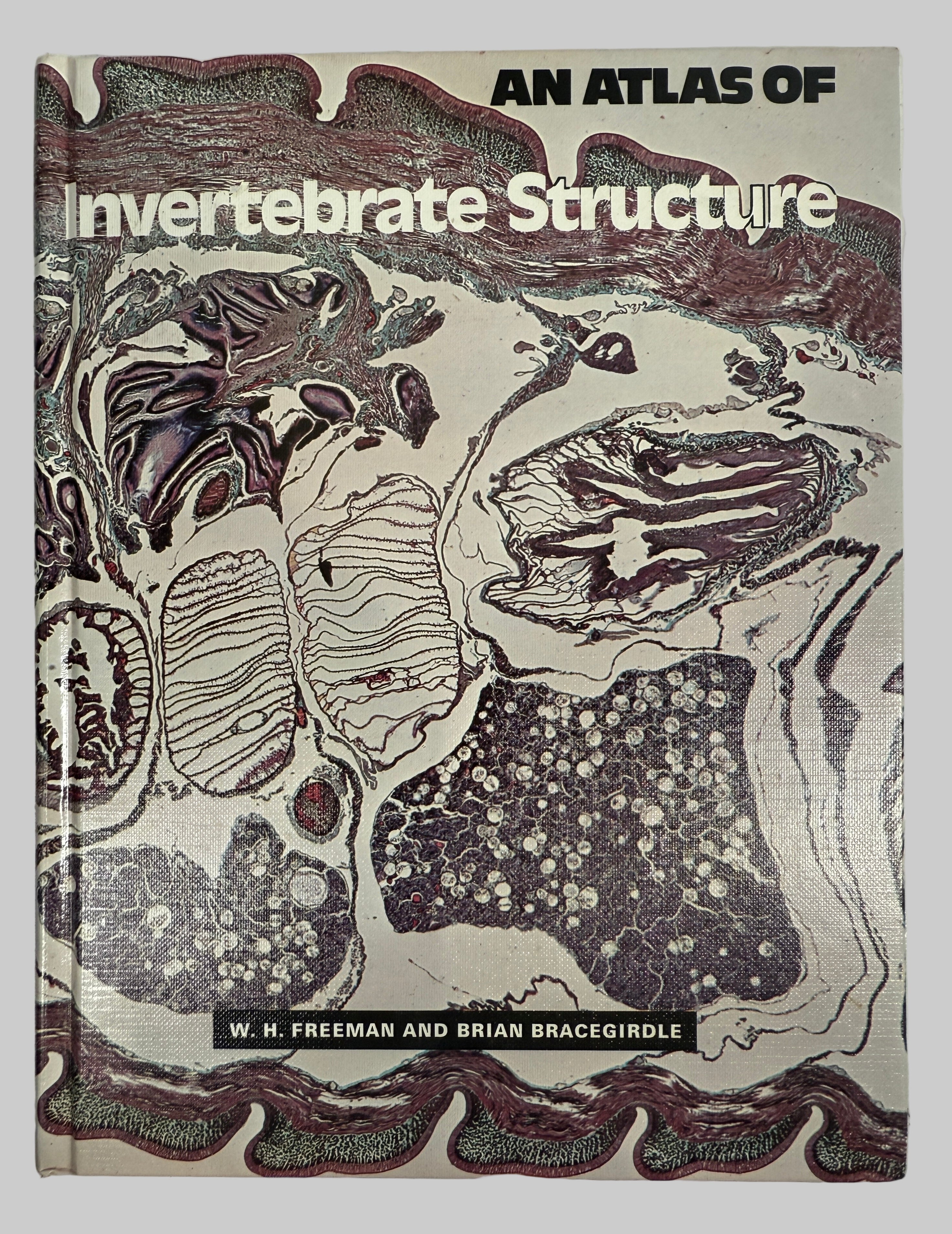 Livre relié vintage – Atlas des structures des invertébrés (Freeman)