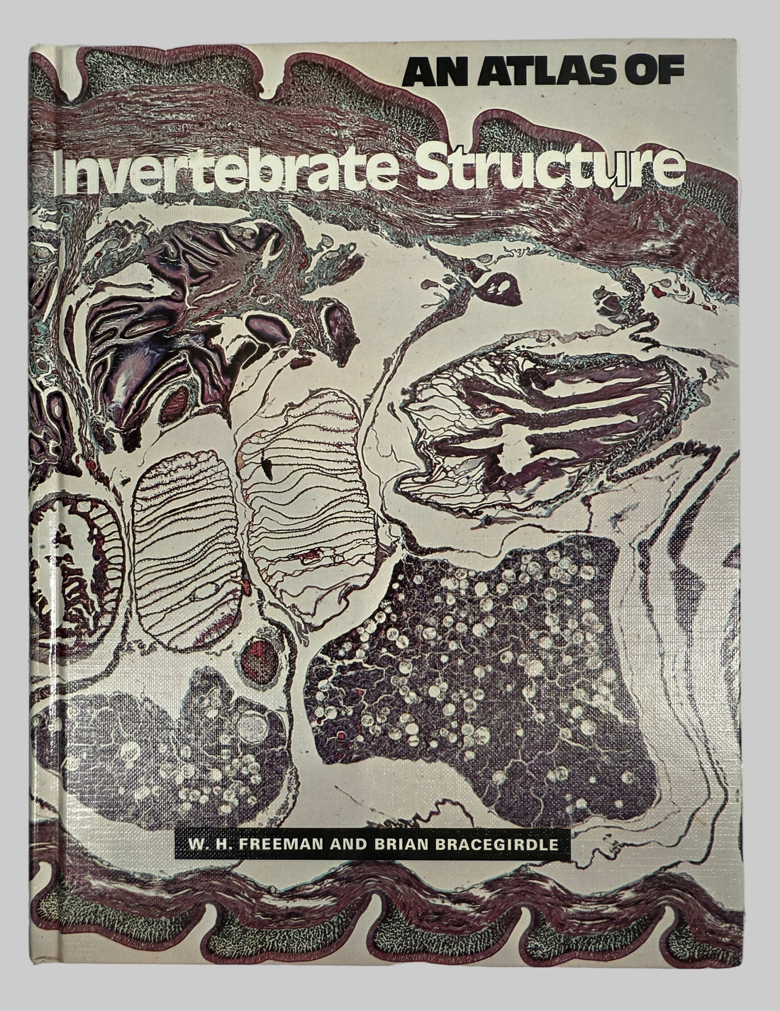 Livre relié vintage – Atlas des structures des invertébrés (Freeman)