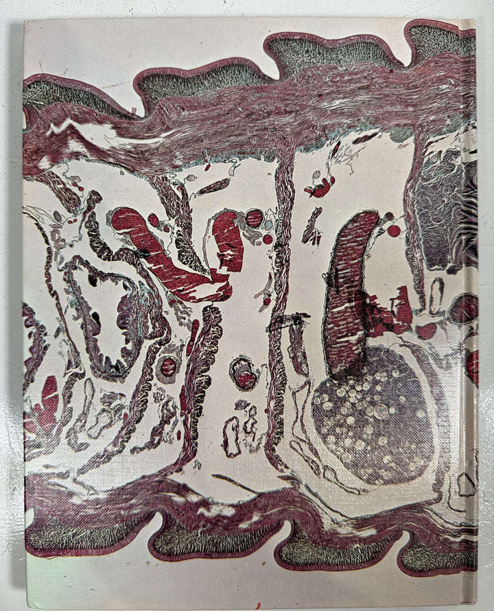 Vintage Hardback – An Atlas of Invertebrate Structure (Freeman)