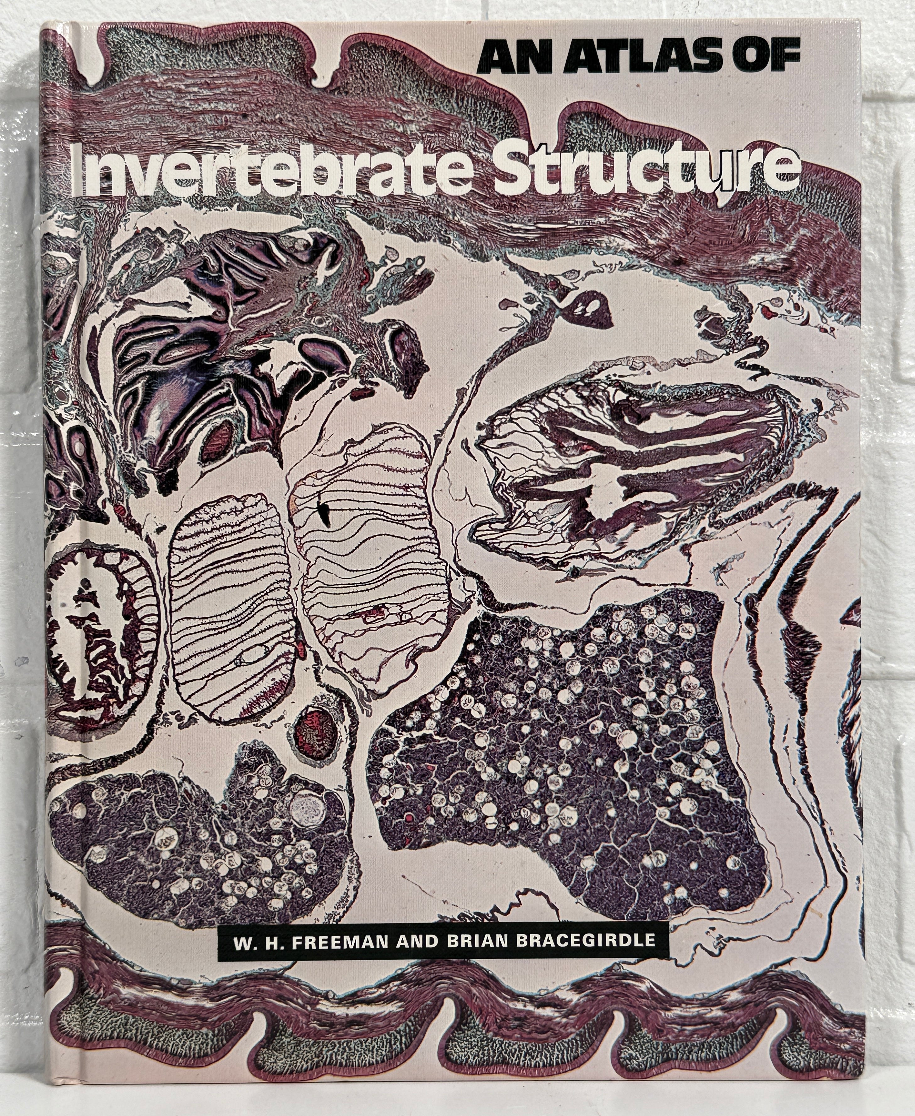 Livre relié vintage – Atlas des structures des invertébrés (Freeman)