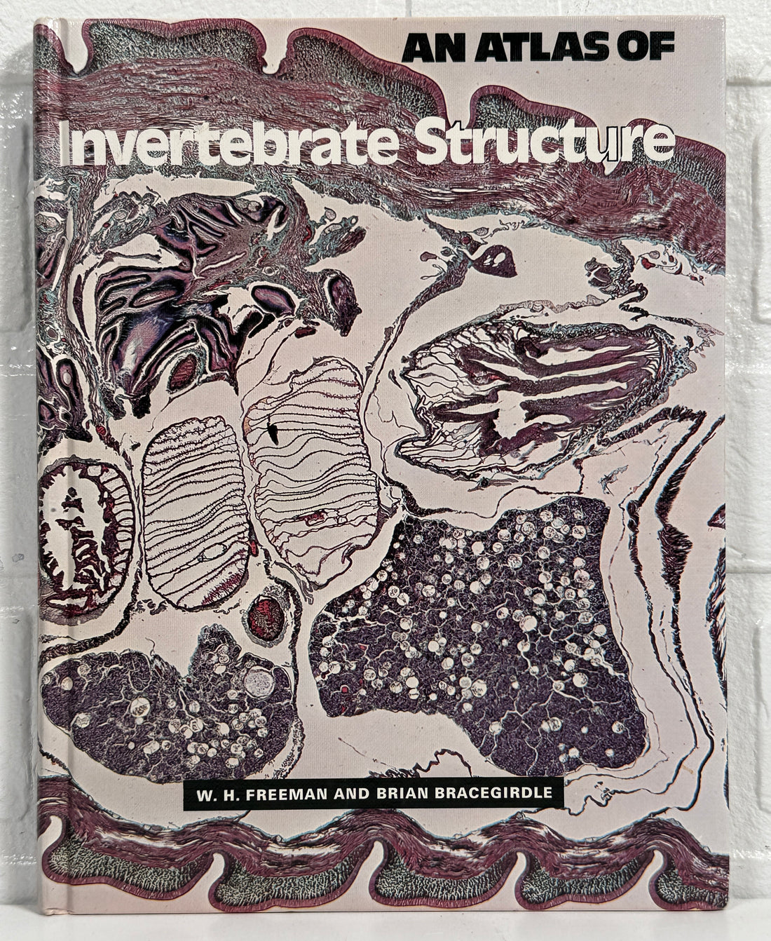 Livre relié vintage – Atlas des structures des invertébrés (Freeman)