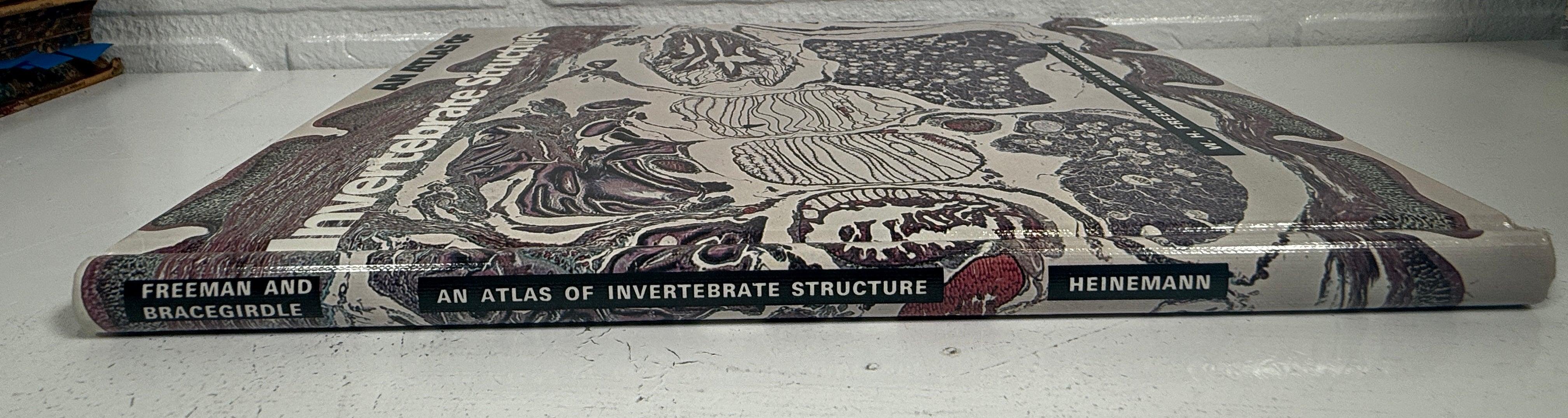 Livre relié vintage – Atlas des structures des invertébrés (Freeman)