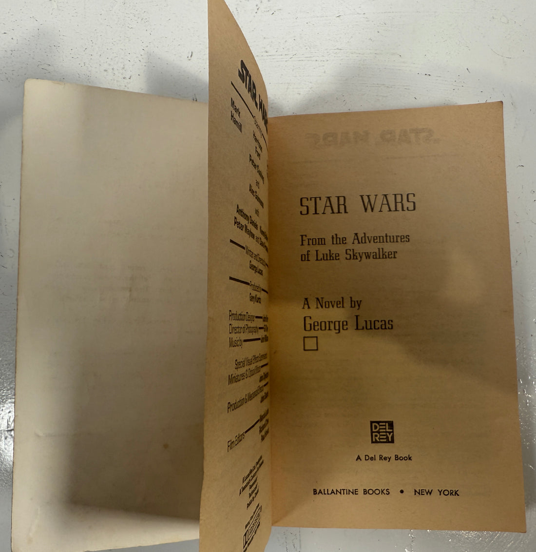 Vintage 1977 Star Wars Paperback – First Del Rey Edition