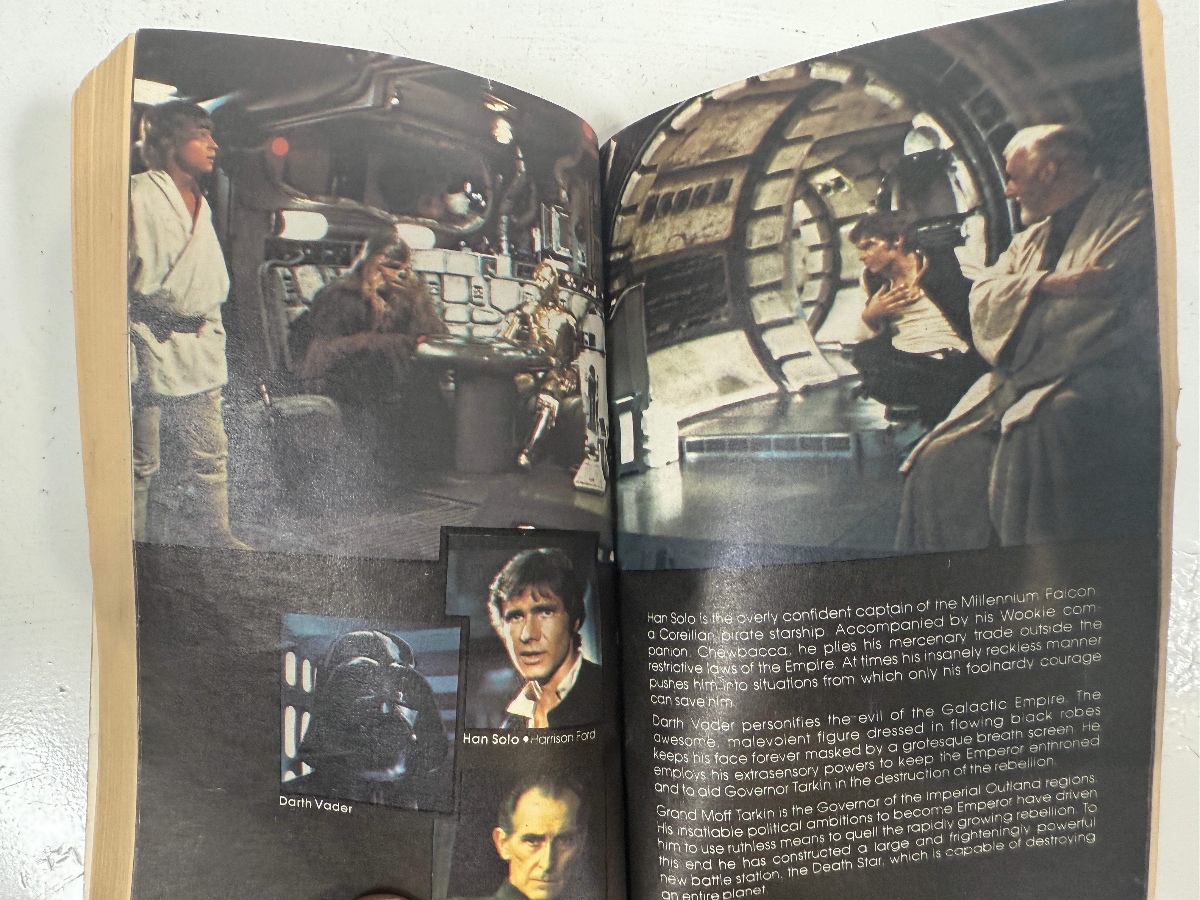 Vintage 1977 Star Wars Paperback – First Del Rey Edition