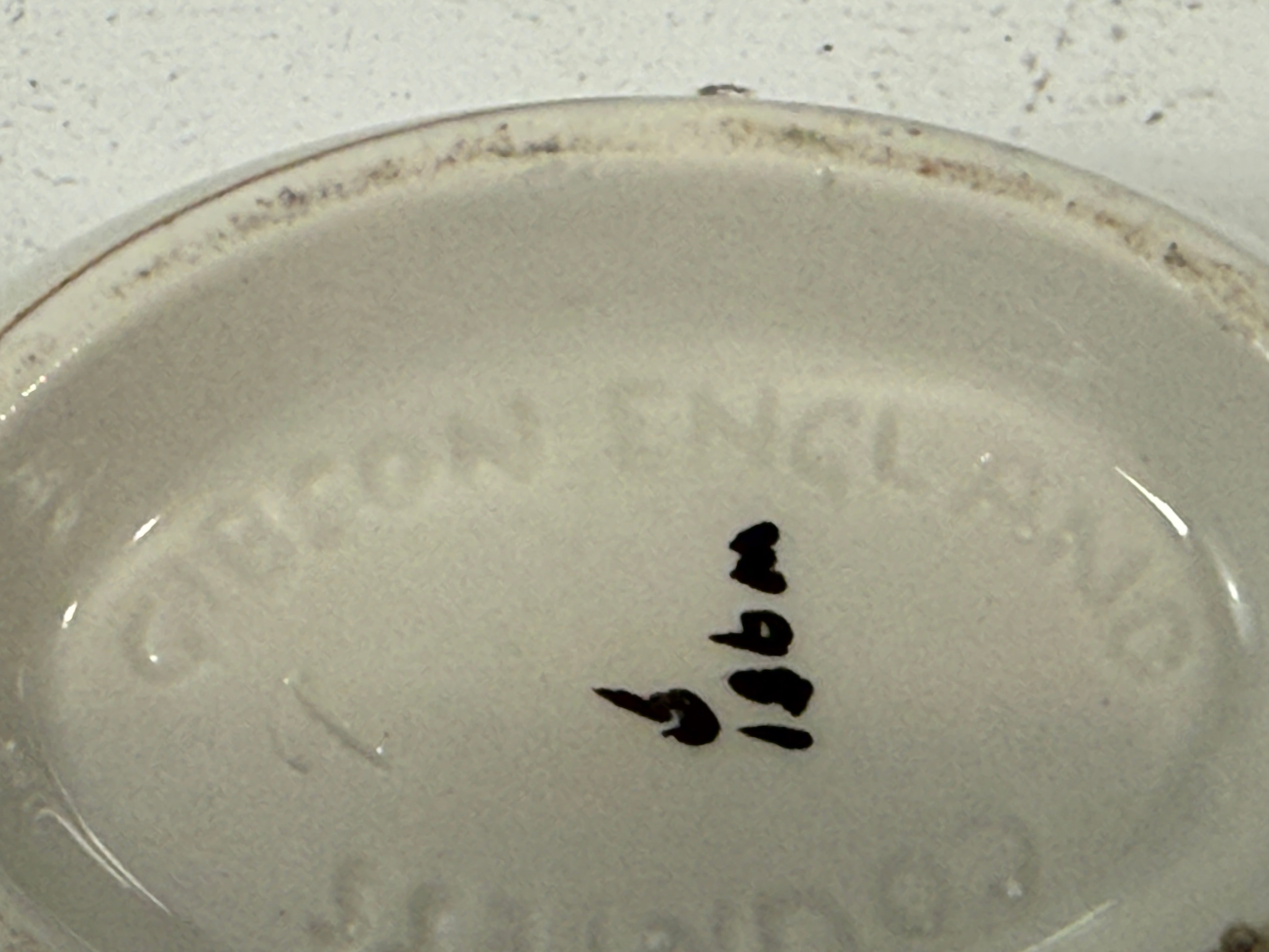 Vintage Gibson & Sons “Countess” 3-Piece Tea Set – Teapot, Sugar & Creamer – England, c.1950s