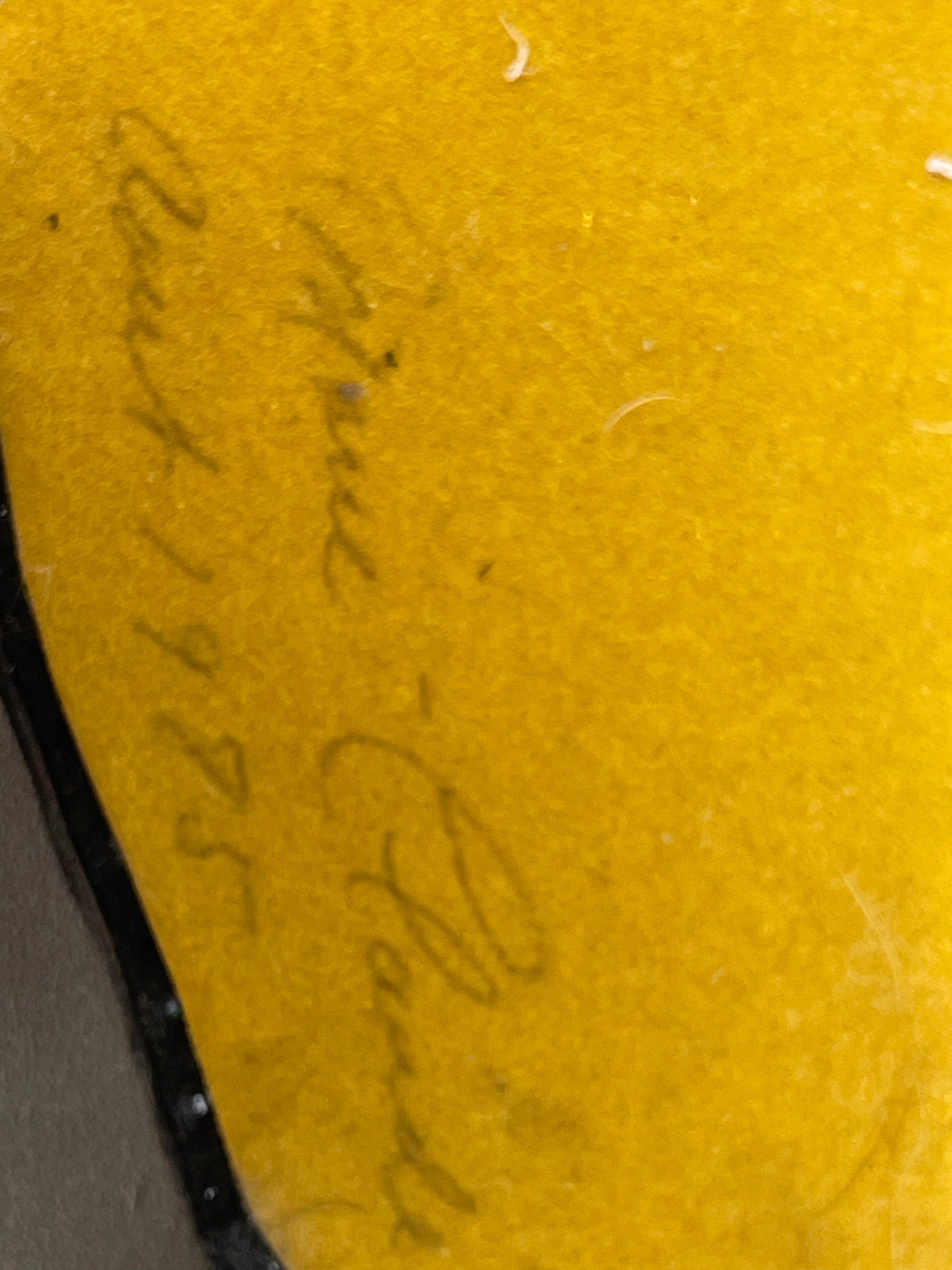 Vintage Sculptural Mirror by Dimitri Papadimitriou – Canada, 1983