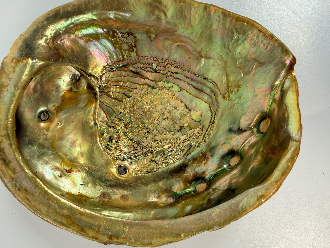 Vintage abalone shell bowl with lucite feet. Iridescent centerpiece dish for coastal, tiki, Hollywood Regency, and mid-century modern decor.