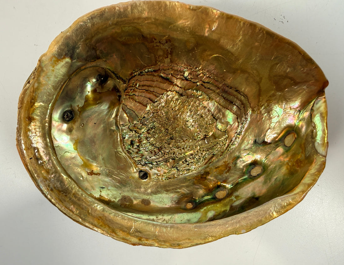 Vintage abalone shell bowl with lucite feet. Iridescent centerpiece dish for coastal, tiki, Hollywood Regency, and mid-century modern decor.