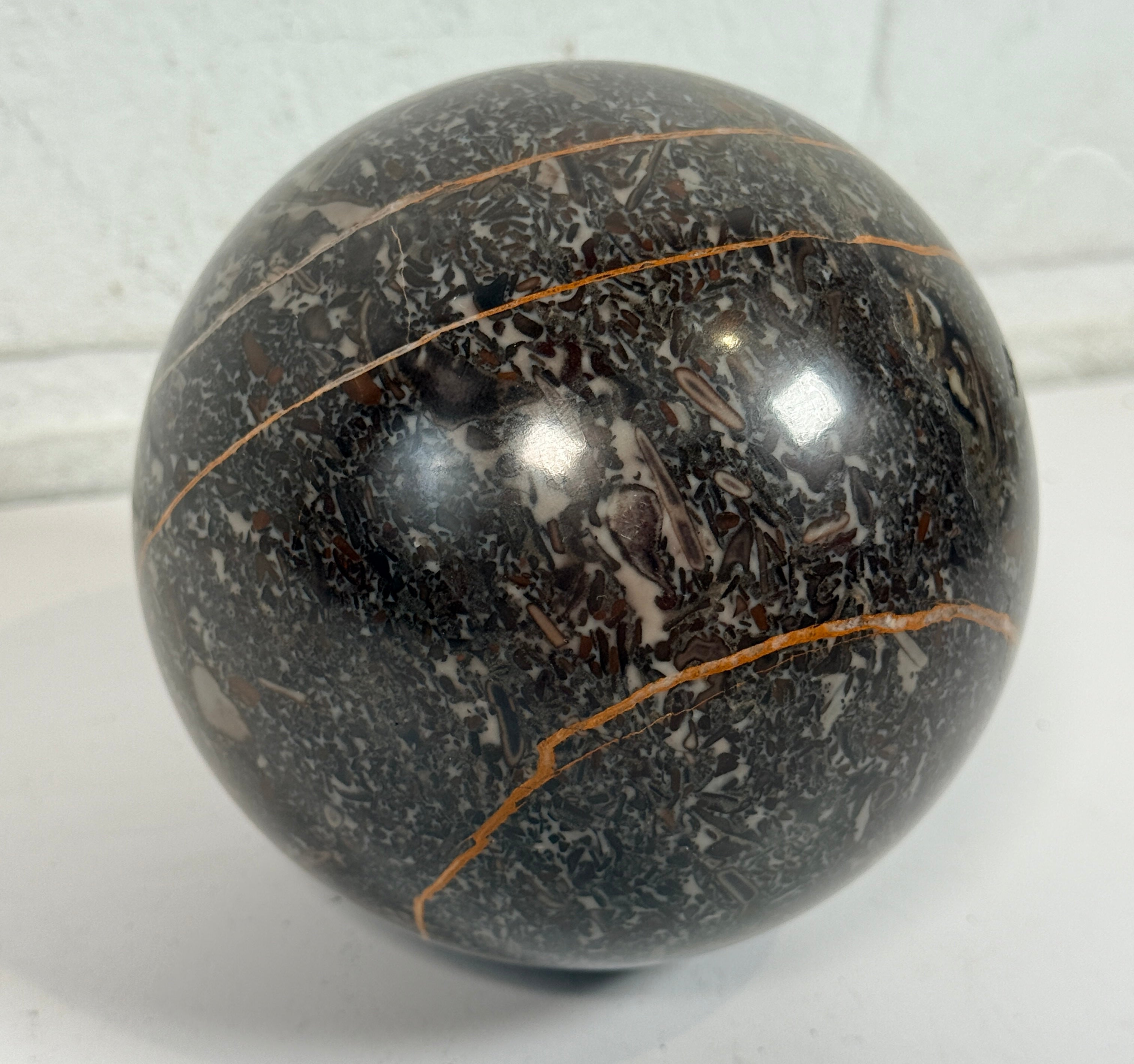 Large Orthoceras fossil sphere from Morocco with visible prehistoric shell fossils in polished black stone. Natural history décor collectible display piece.