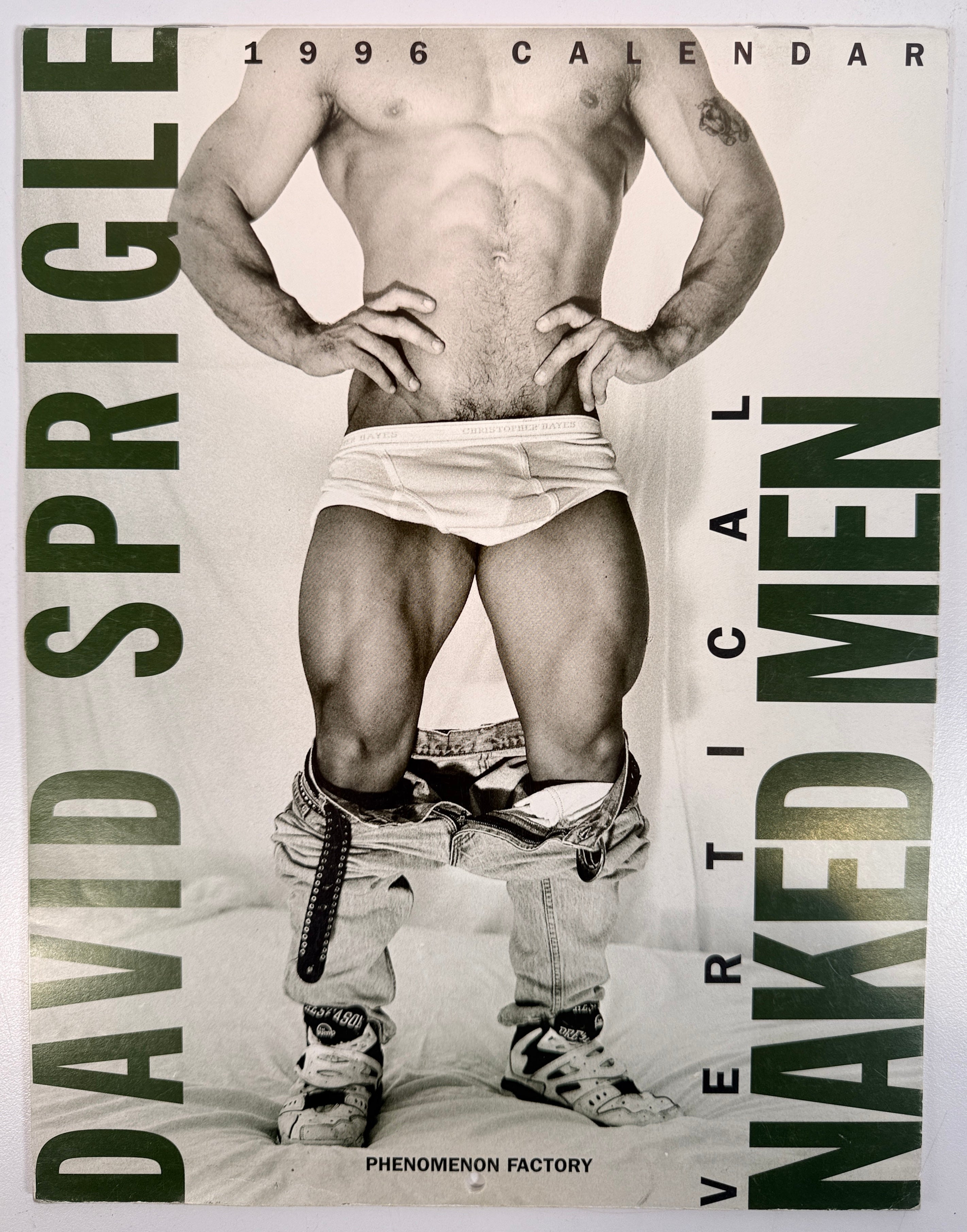 Vintage 1996 male physique calendar by David Sprigle, black and white photography, Phenomenon Factory publication, collectible retro wall calendar.