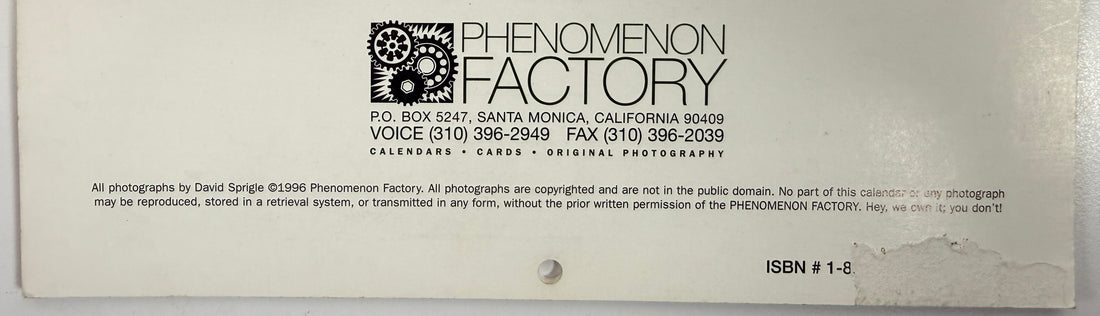 Vintage 1996 male physique calendar by David Sprigle, black and white photography, Phenomenon Factory publication, collectible retro wall calendar.