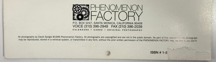 Vintage 1996 male physique calendar by David Sprigle, black and white photography, Phenomenon Factory publication, collectible retro wall calendar.