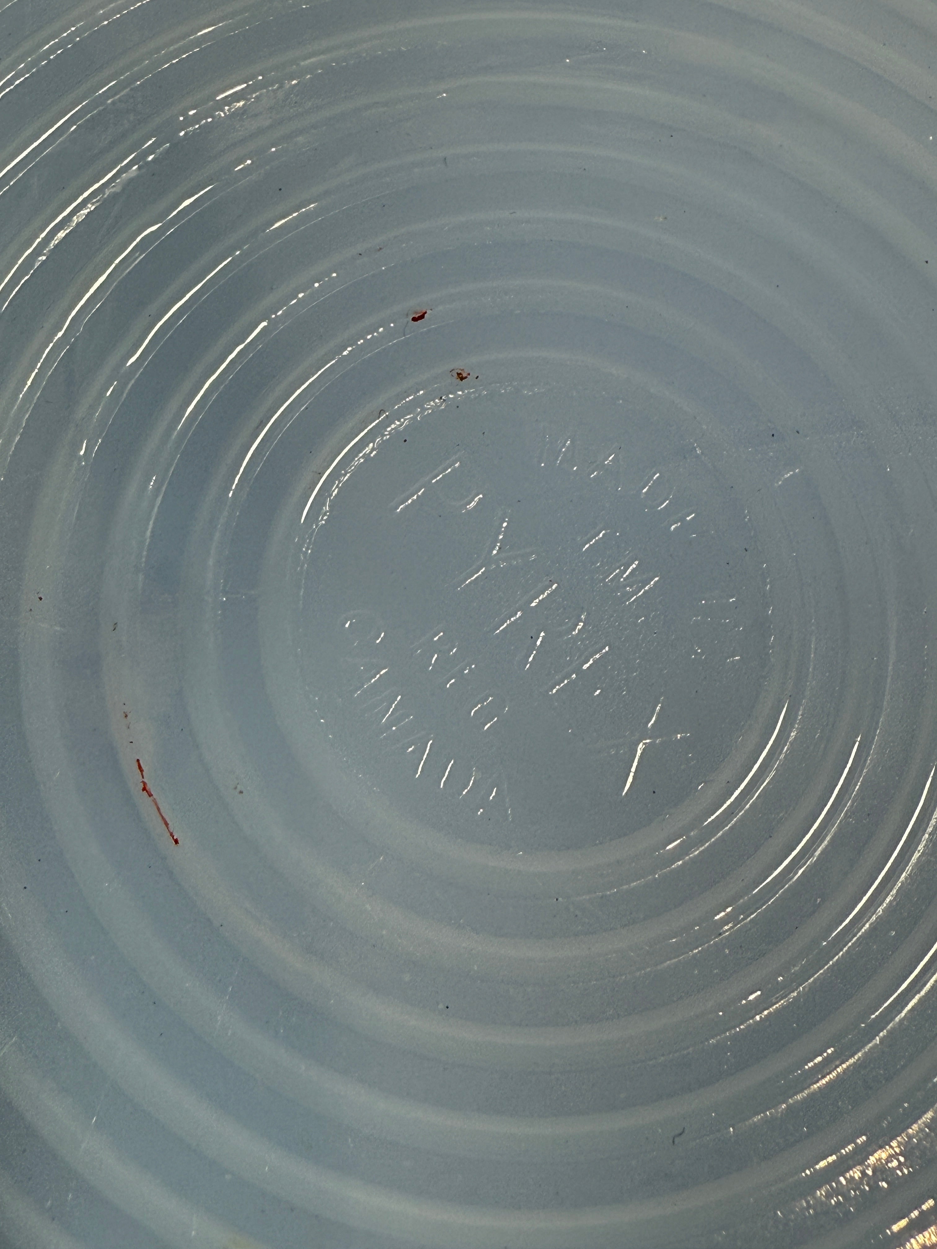 Vintage PYREX Canada “Delphite Blue” Pie-Crust Rim Dinner Plates – Set of 6 – Excellent Condition