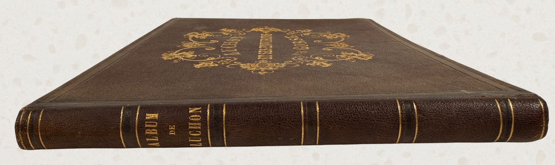 Antique French lithograph album featuring scenic Pyrenees views of Luchon, original 19th-century plates, fold-outs, and gilt decorative binding.
