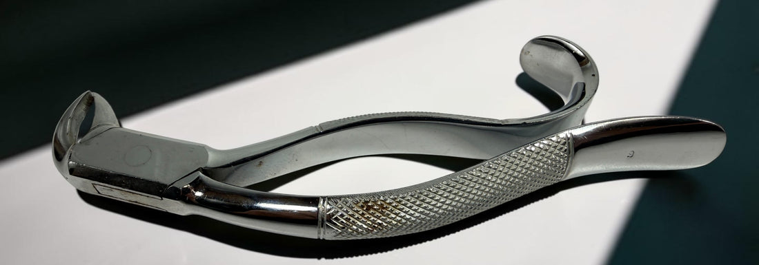 Vintage K. Scheerer German dental extraction forceps in chrome-plated steel. Medical antique collectible ideal for display, oddities, or prop use.