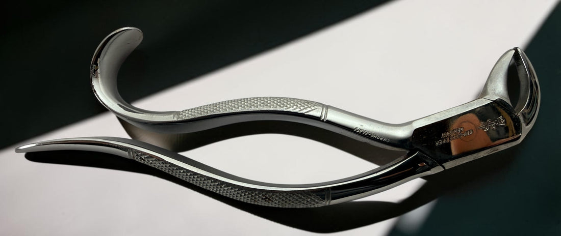 Vintage K. Scheerer German dental extraction forceps in chrome-plated steel. Medical antique collectible ideal for display, oddities, or prop use.