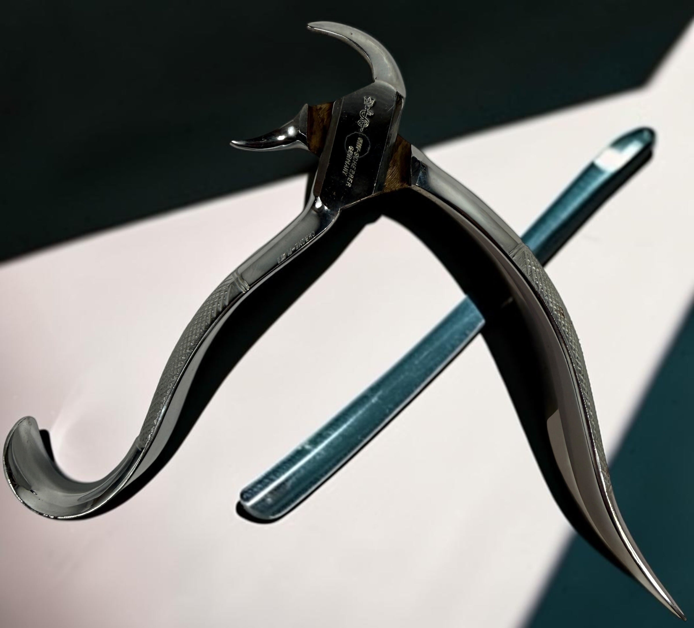 Vintage K. Scheerer German dental extraction forceps in chrome-plated steel. Medical antique collectible ideal for display, oddities, or prop use.