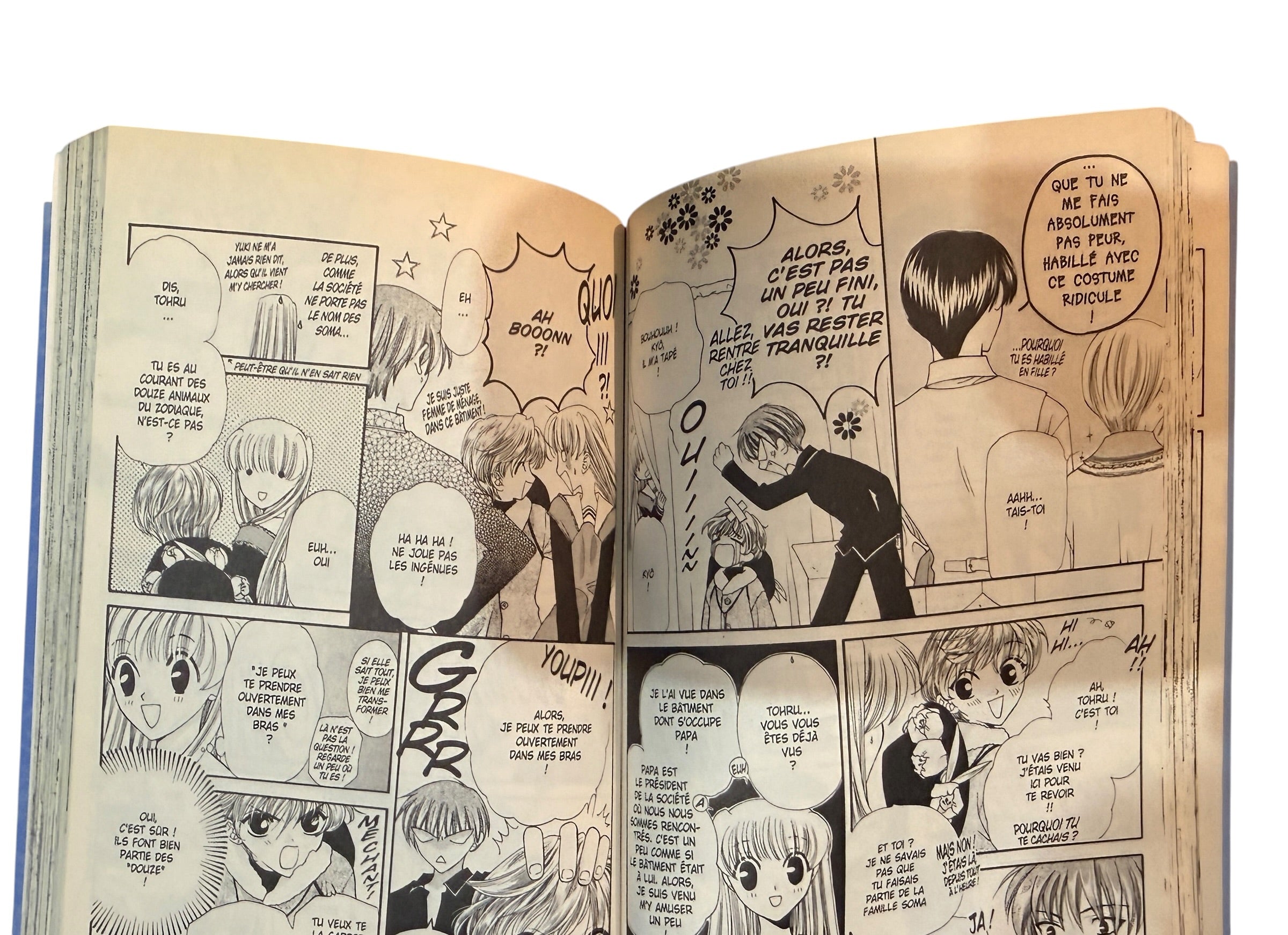 Fruits Basket, Complete Manga Collection Volumes 1-23, Natsuki Takaya. French