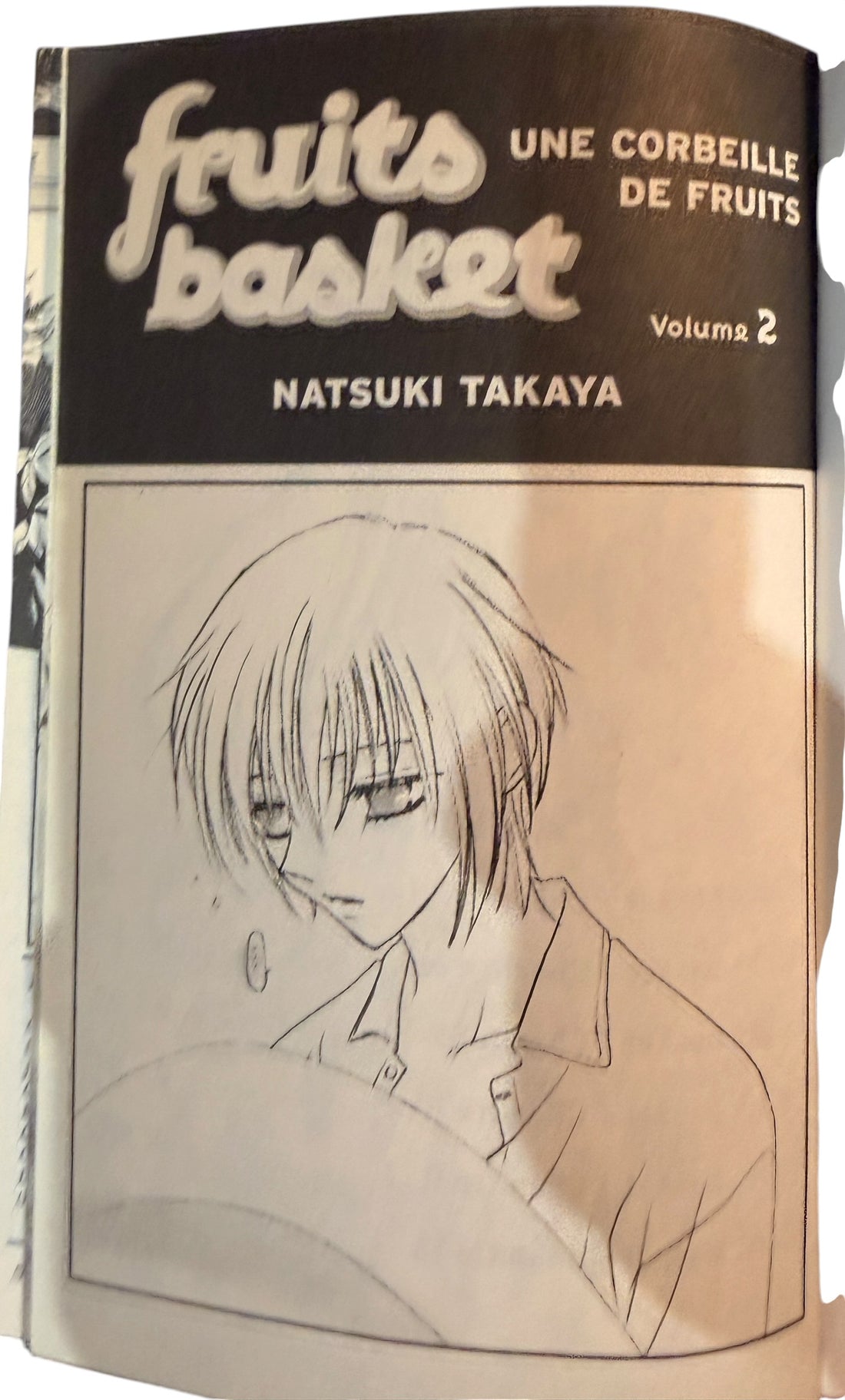 Fruits Basket, Complete Manga Collection Volumes 1-23, Natsuki Takaya. French