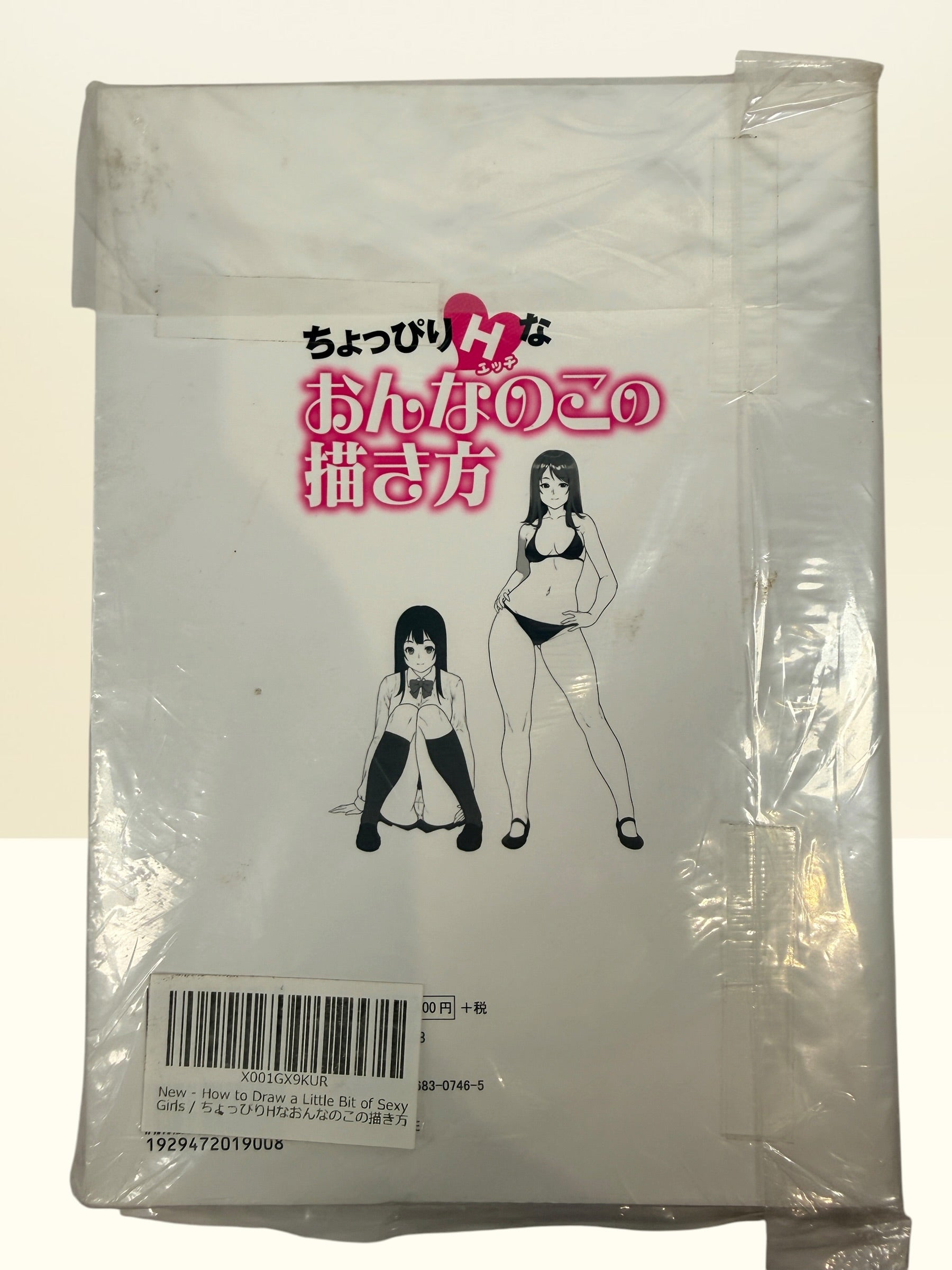 Japanese manga art tutorial by Houtengeki featuring anime character anatomy, posing, and coloring techniques. Full-color softcover instructional guide.