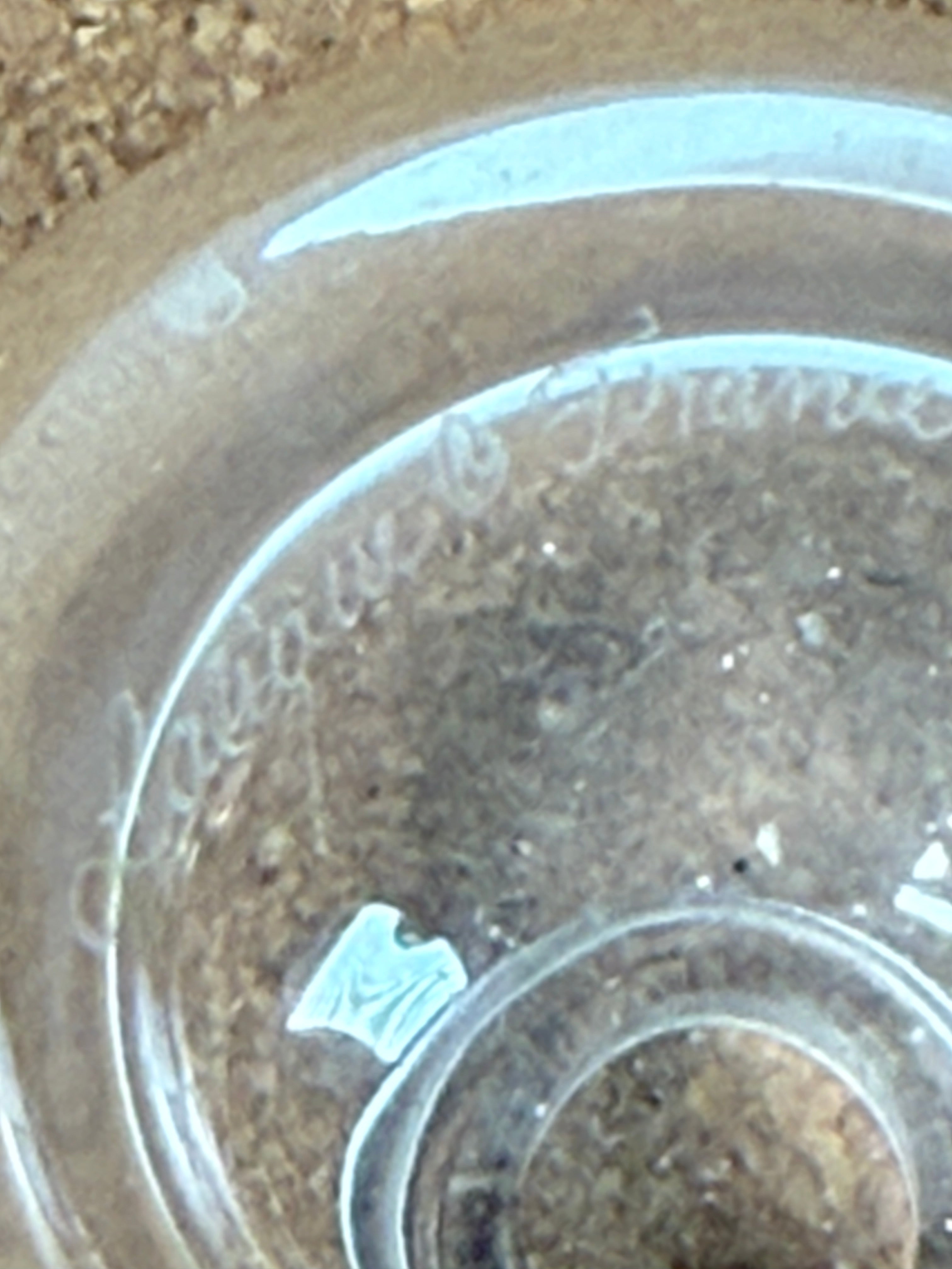 Hand-signed Lalique France crystal perfume bottle with stopper. Clear lead crystal, elegant minimal design, excellent condition. Ships worldwide from Montreal.