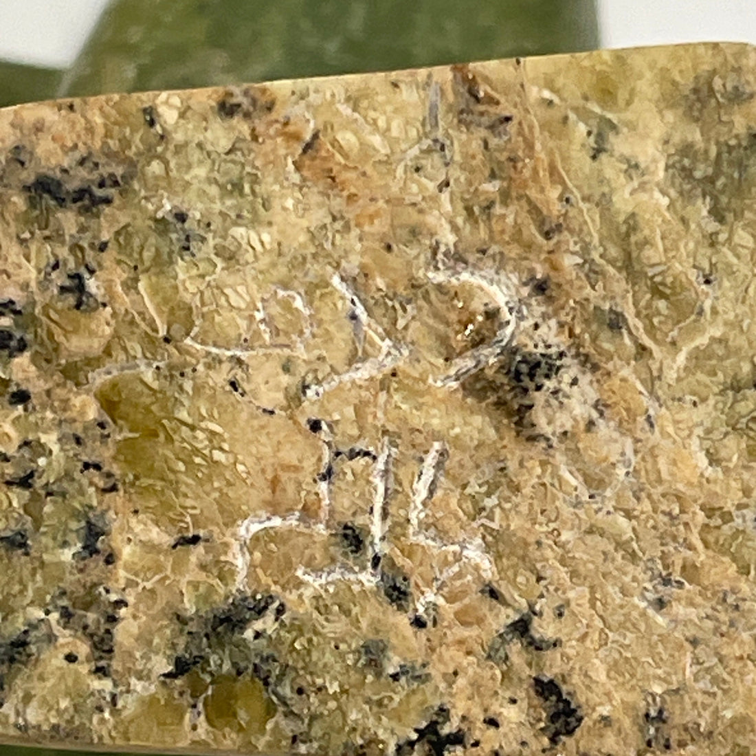 Signed Inuit Green Soapstone Bird Sculpture – Inuktitut Syllabics