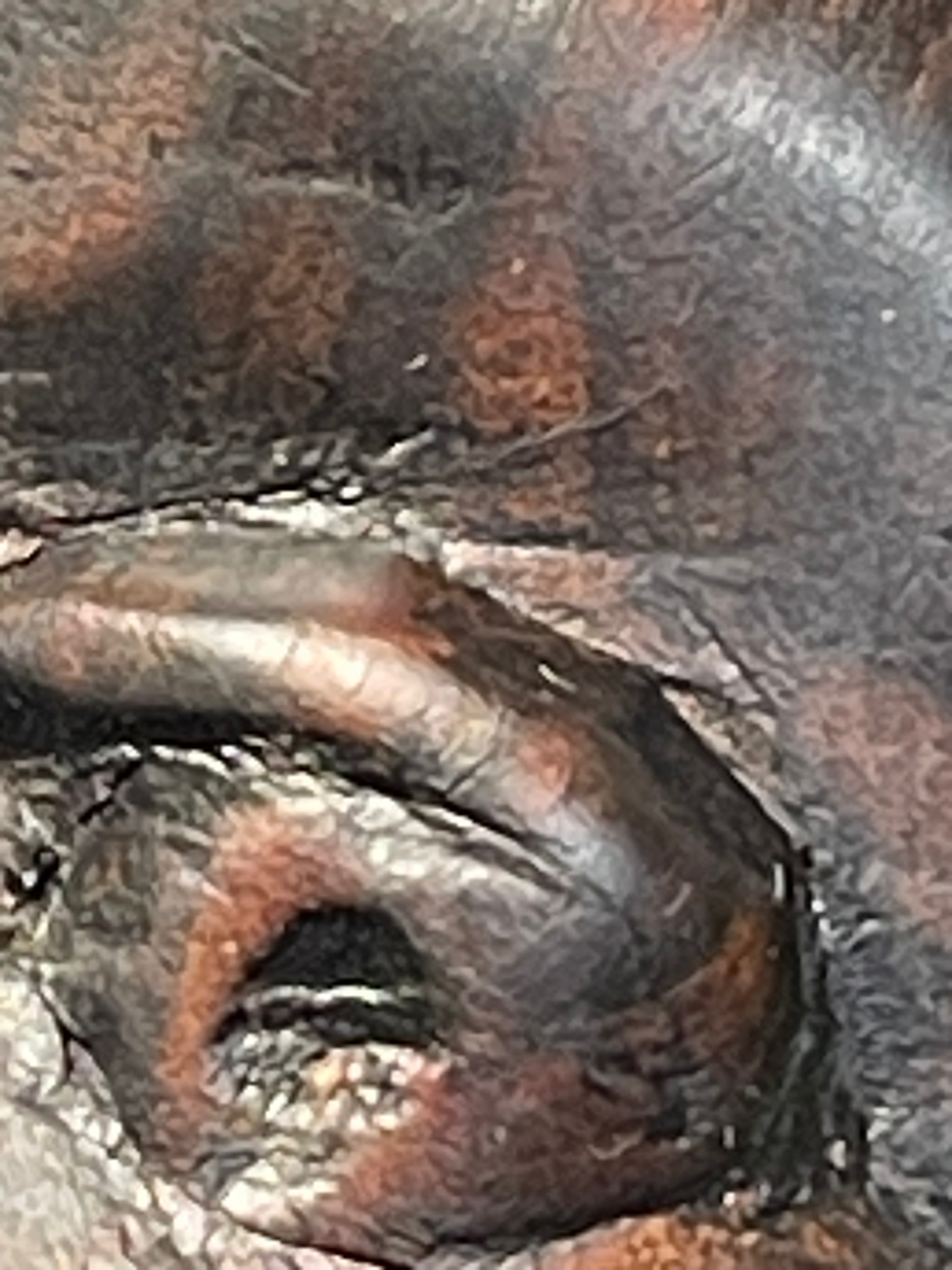 Vintage African Tribal Bust – Hand-Carved Solid ebony