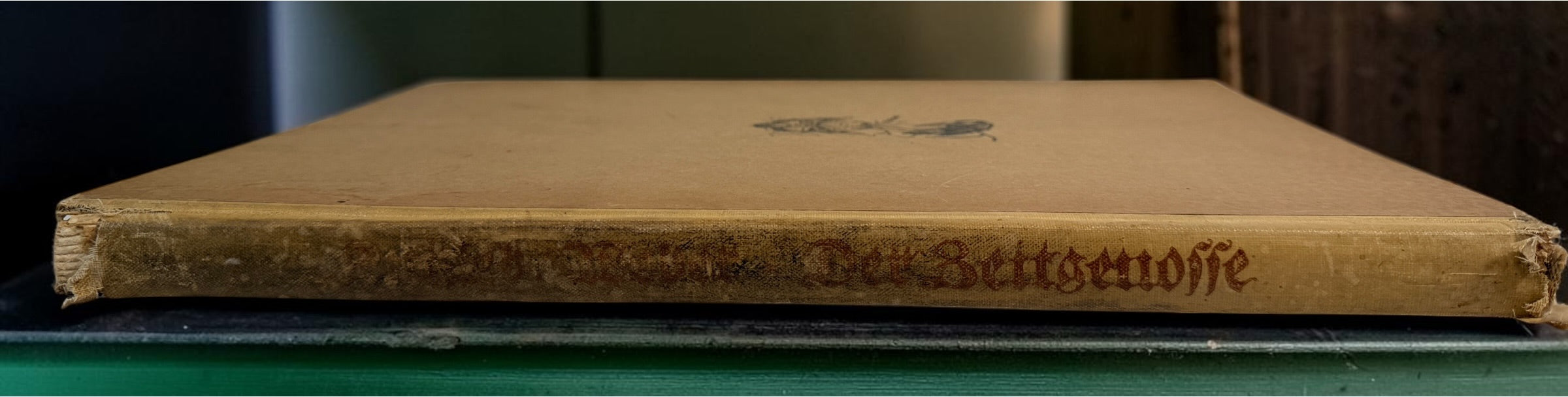 1923 Der Zeitgenosse by Hjalmar Kutzleb, illustrated by A. Paul Weber. German hardcover published by Erich Matthes, Leipzig.