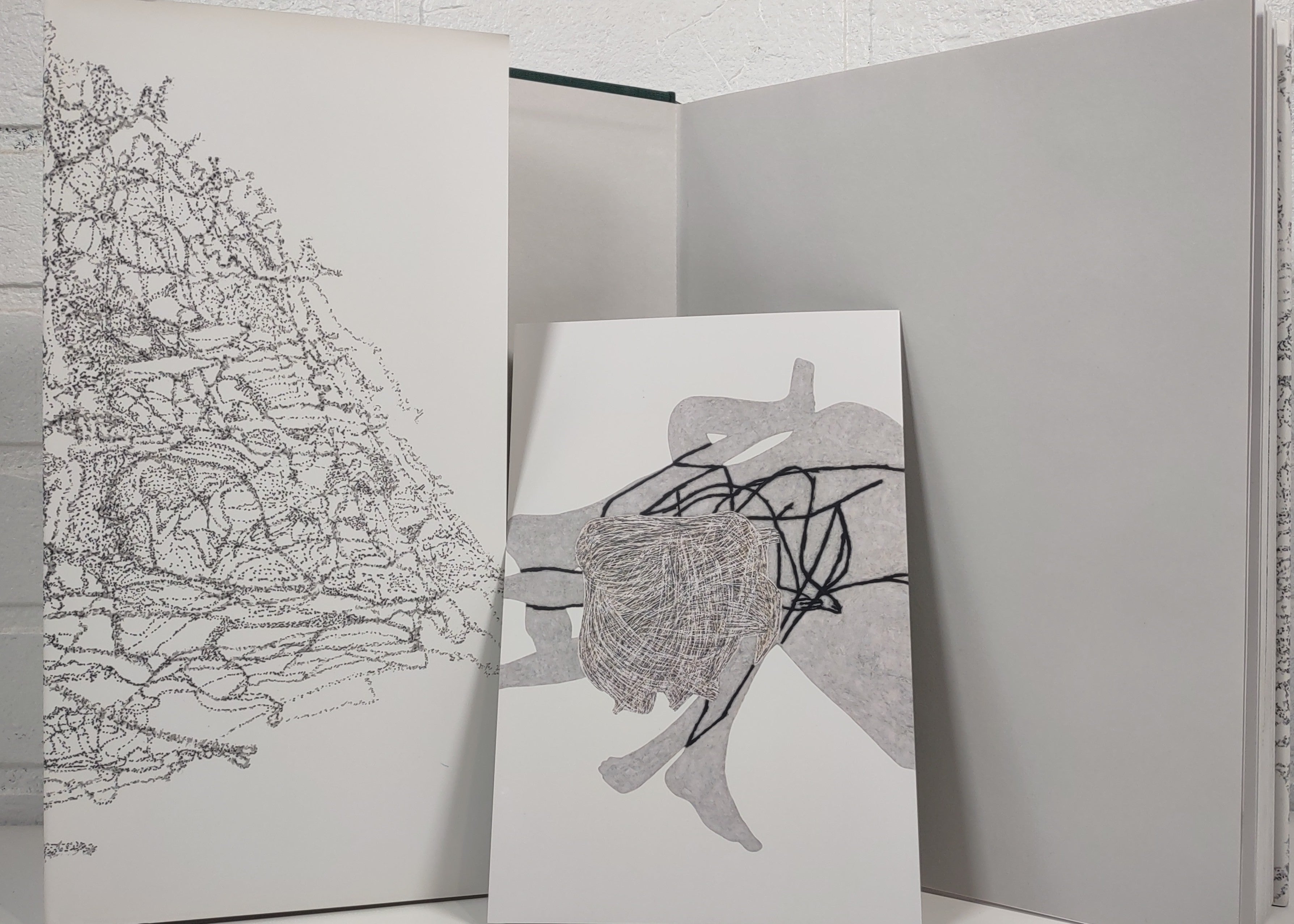 Julie Ouellet. 1700 La Poste, Editions Mévius.