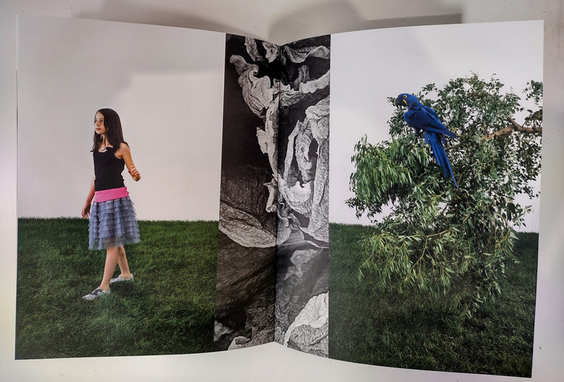 Genevieve Cadieux (Exhibition Catalogue: March 27- Juin 28, 2020)