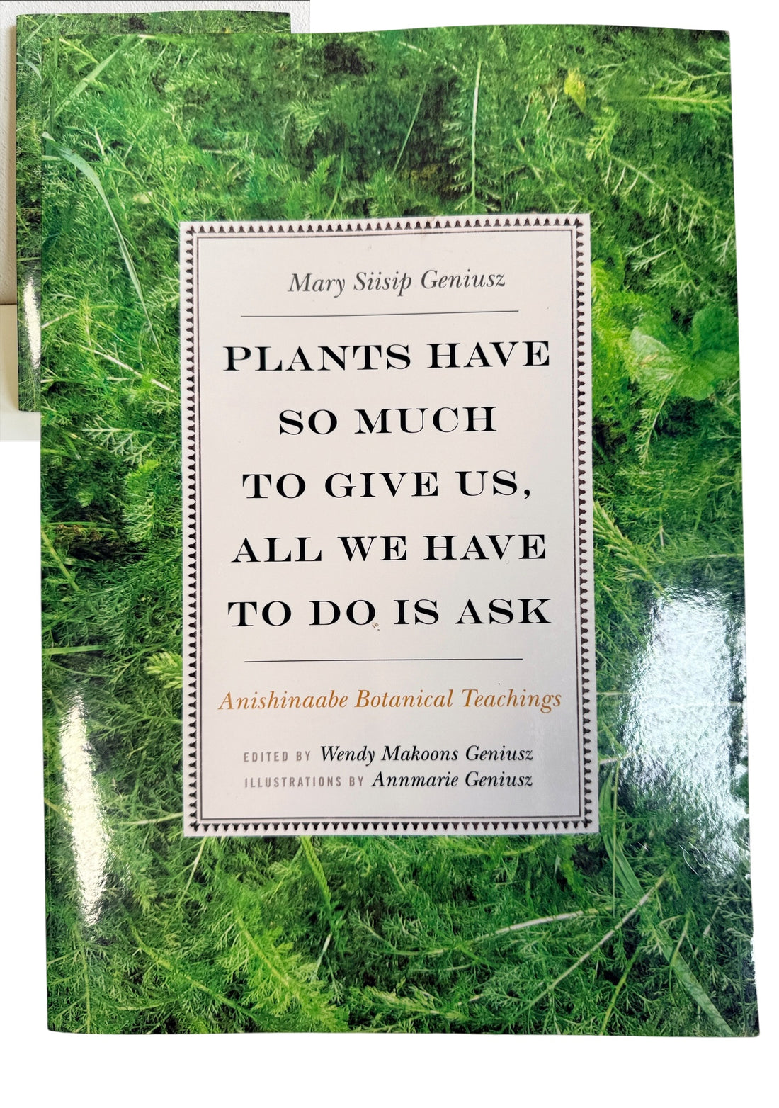 Explore Anishinaabe botanical teachings by Mary Siisip Geniusz. 2015 paperback featuring Indigenous plant knowledge, traditional uses and illustrations.